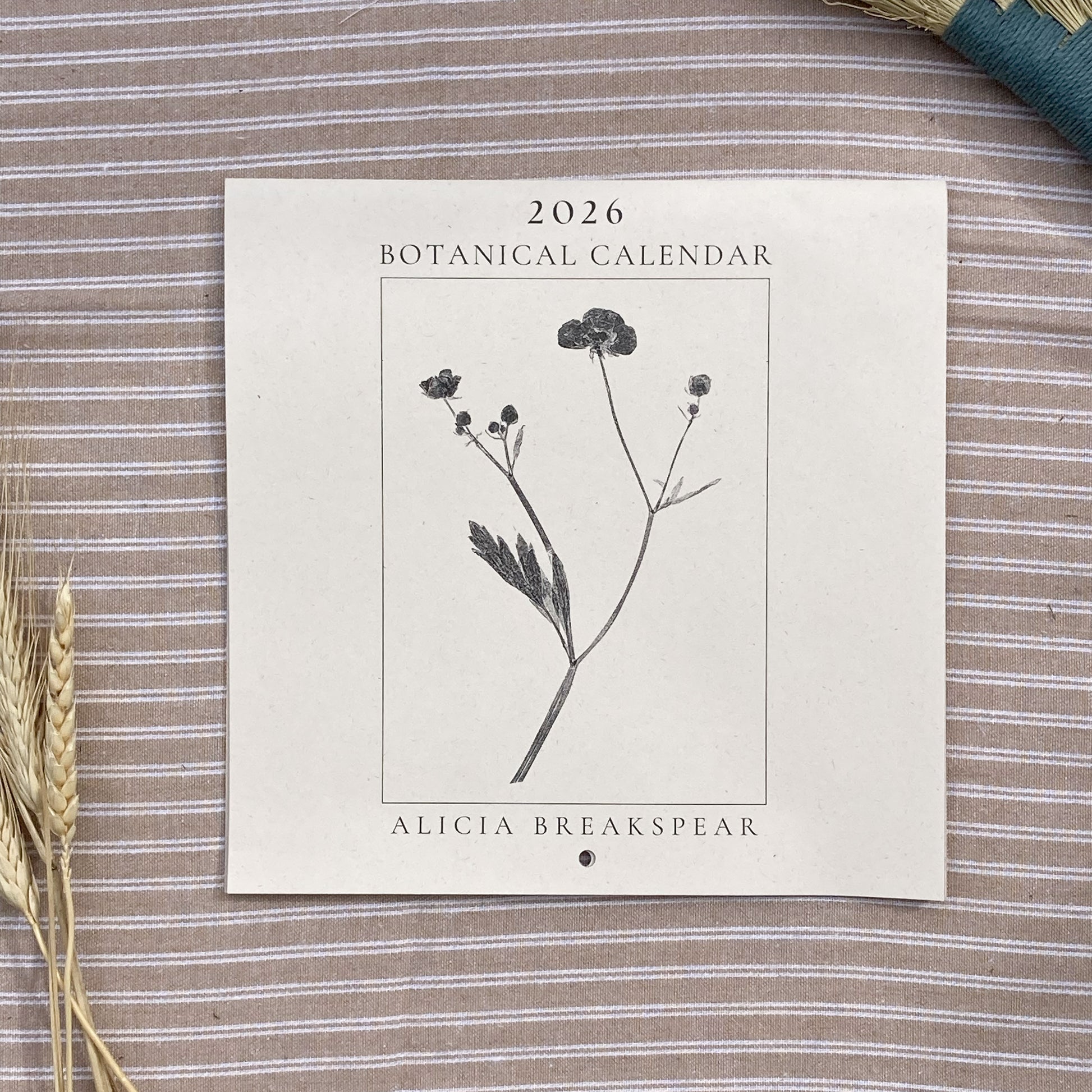 2026 Botanical Calendar by Alicia Breakspear on a textured surface with dried plants.