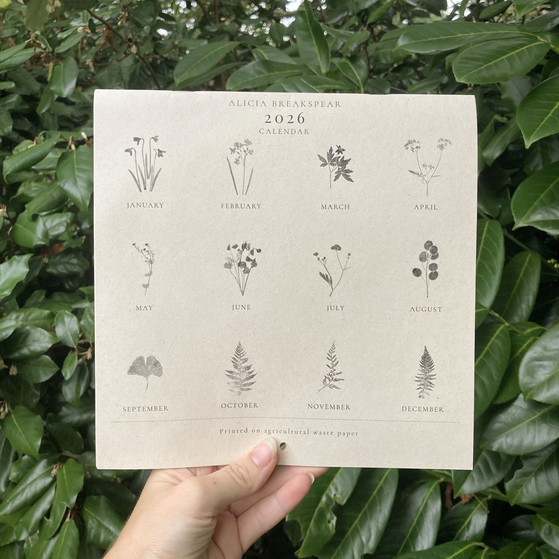 Calendar with botanical designs held in front of green foliage