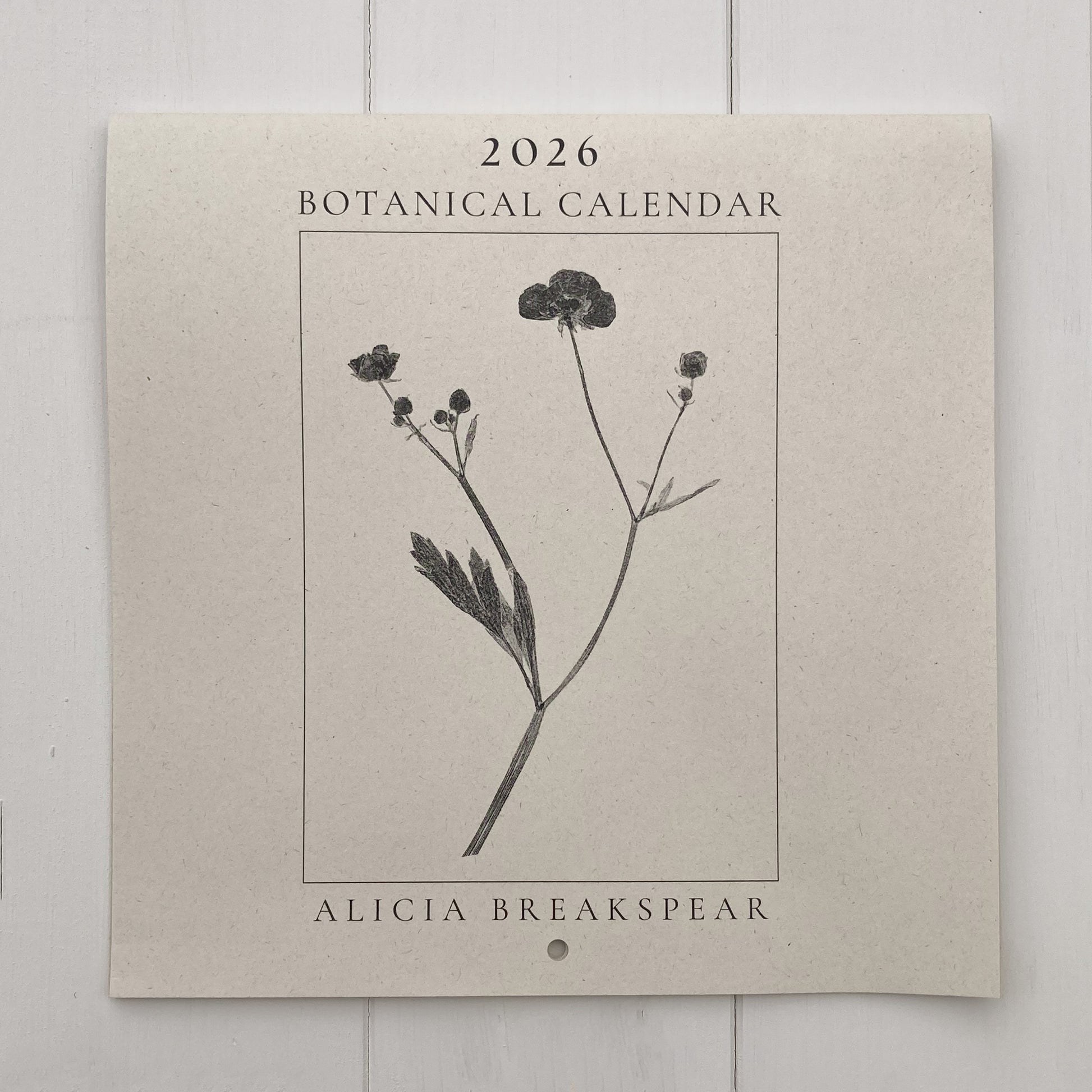 2026 Botanical Calendar by Alicia Breakspear on a textured beige background