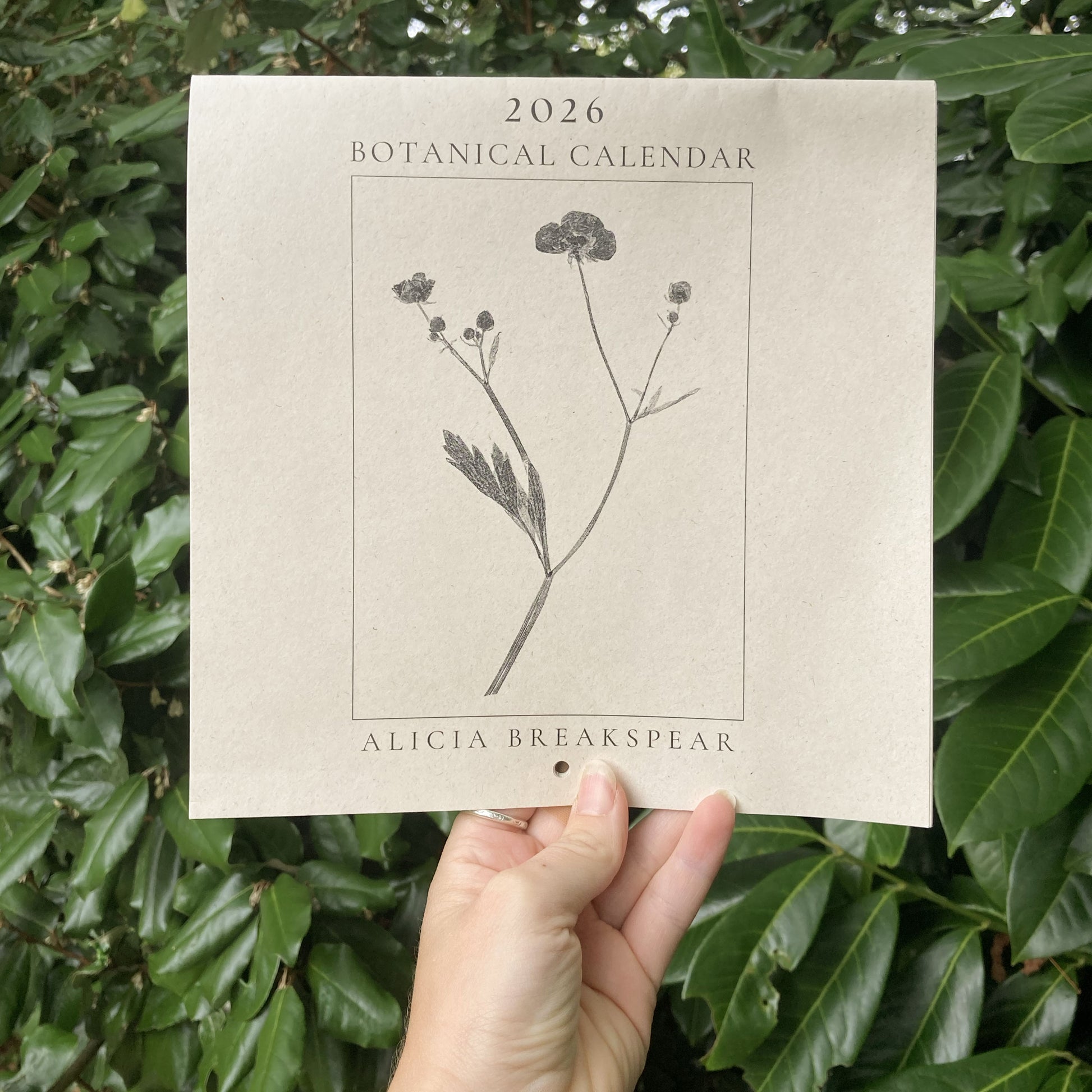Hand holding a 2026 Botanical Calendar with plant illustration against a green leafy background