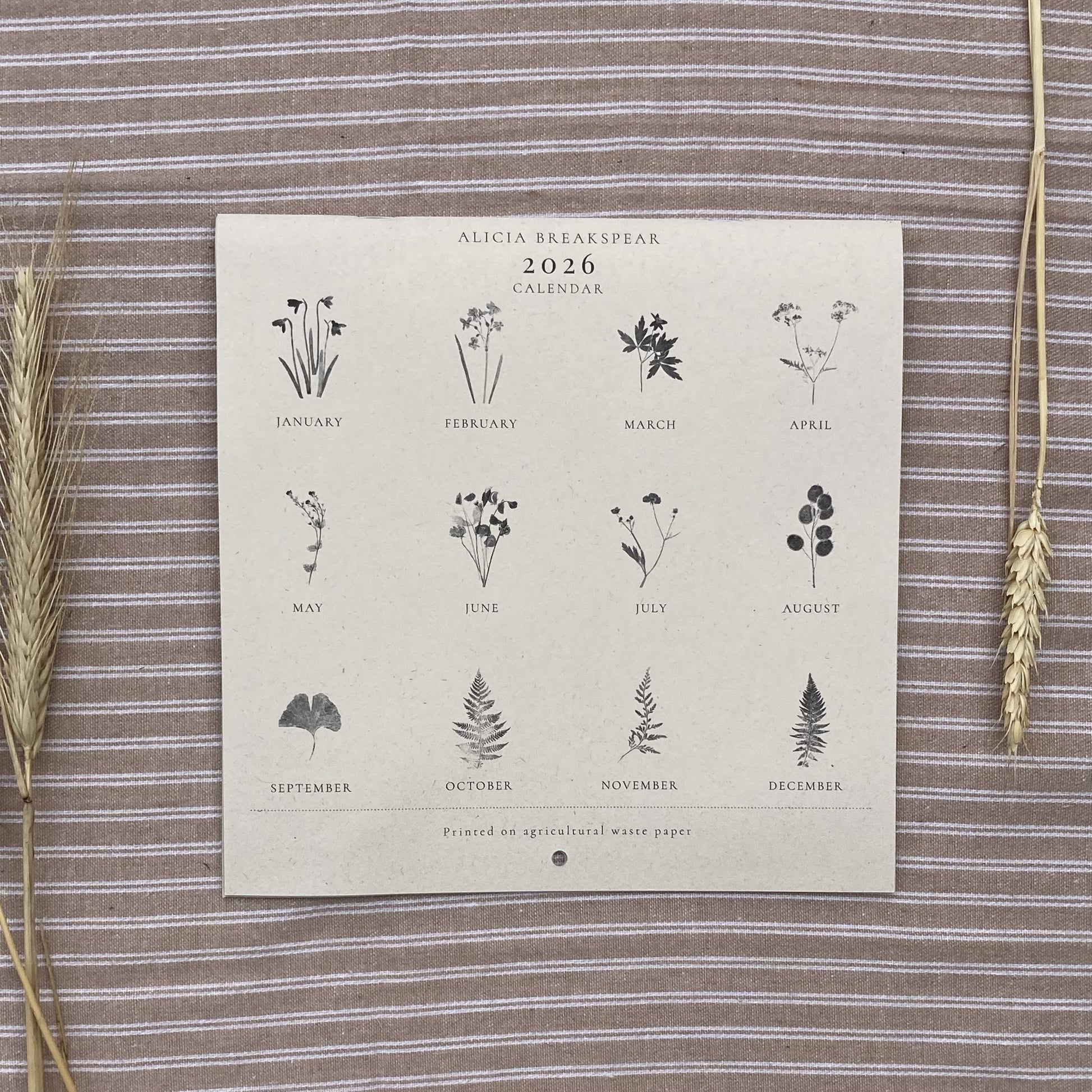 2026 calendar with botanical illustrations on a striped fabric background