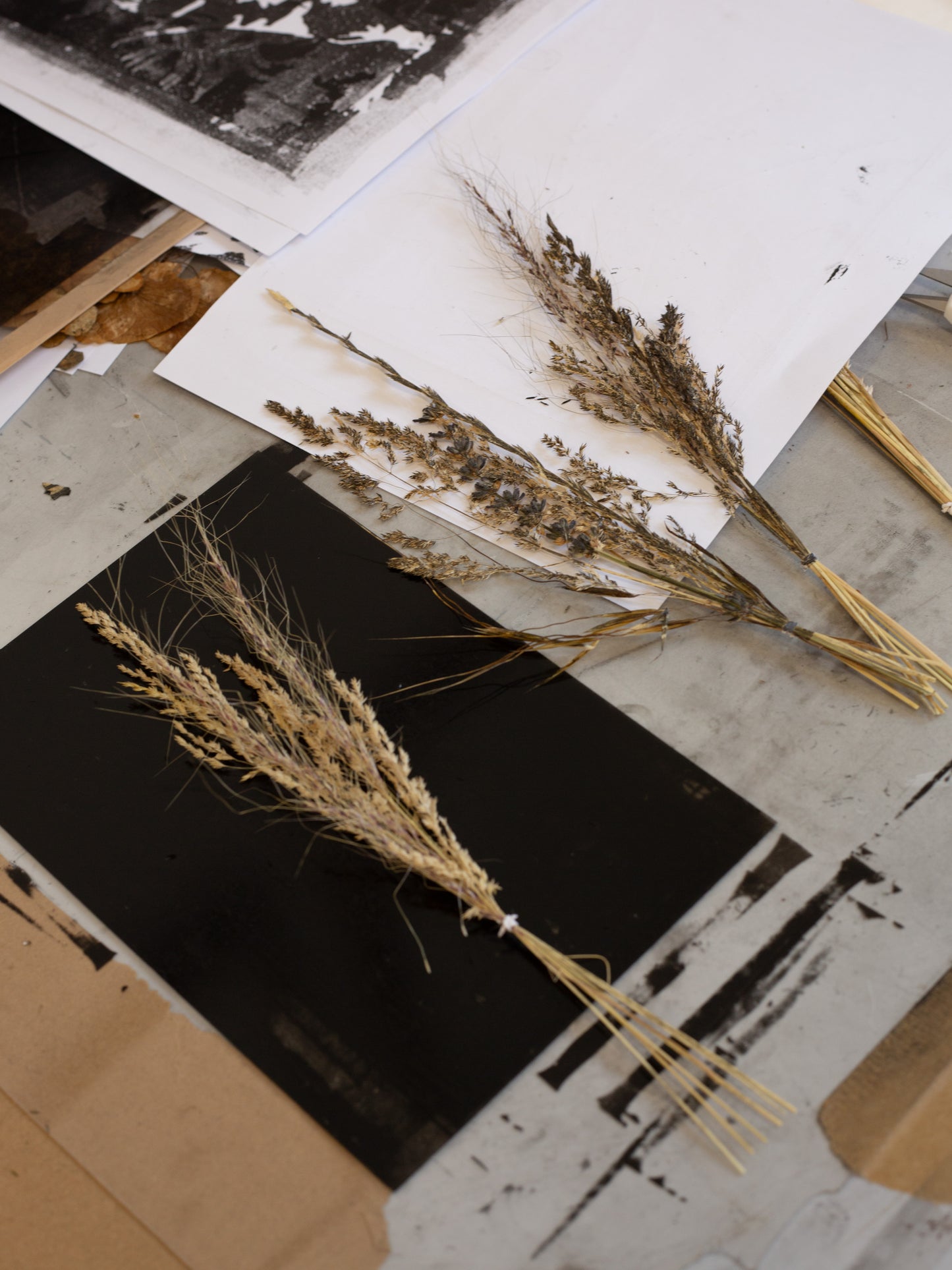 Grass Bunch 2 - Monoprint - A4 1/1