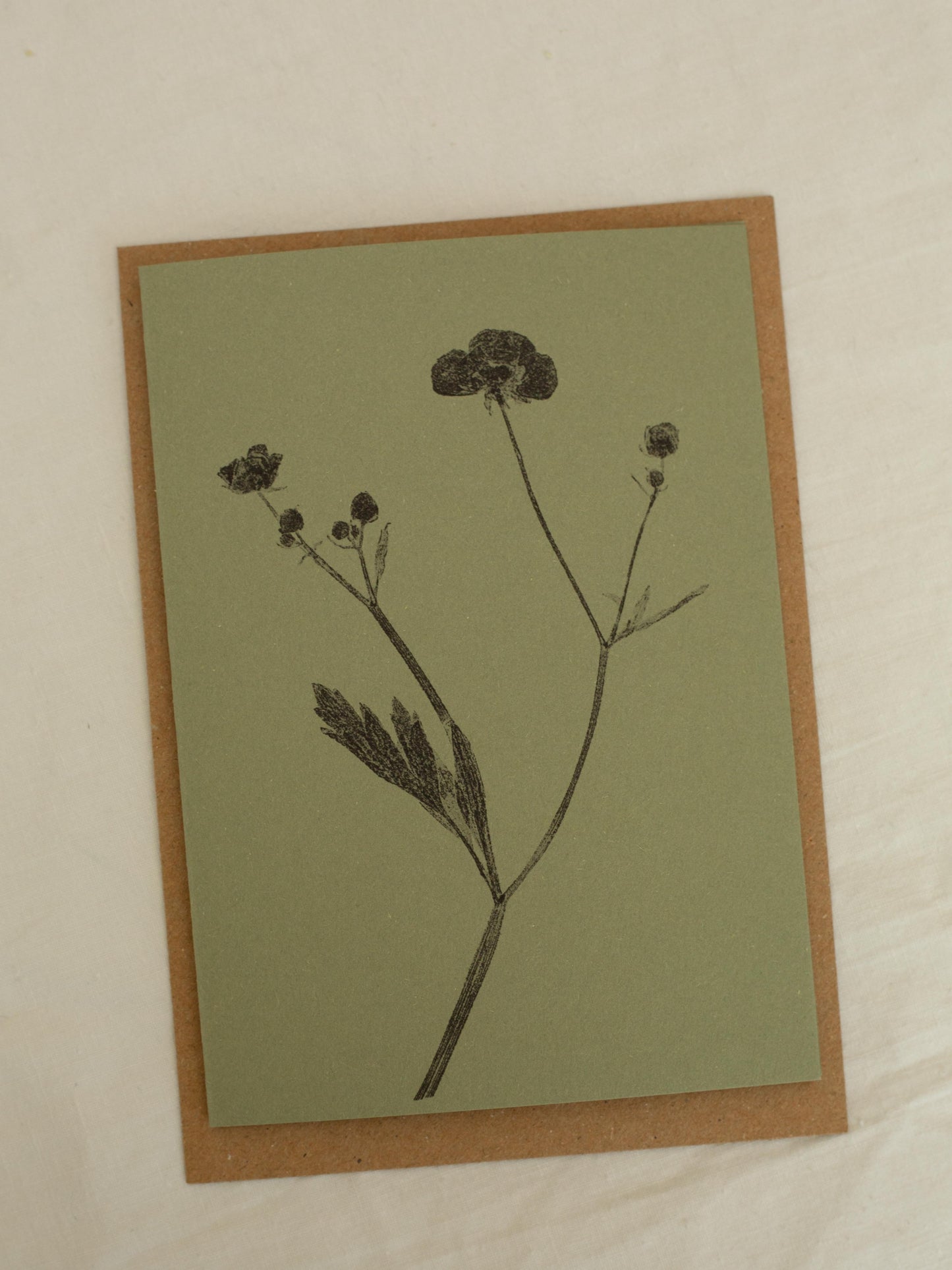 Botanical Greeting Cards Moss Green A6