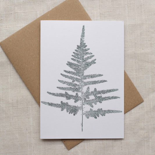 Christmas card with fern design