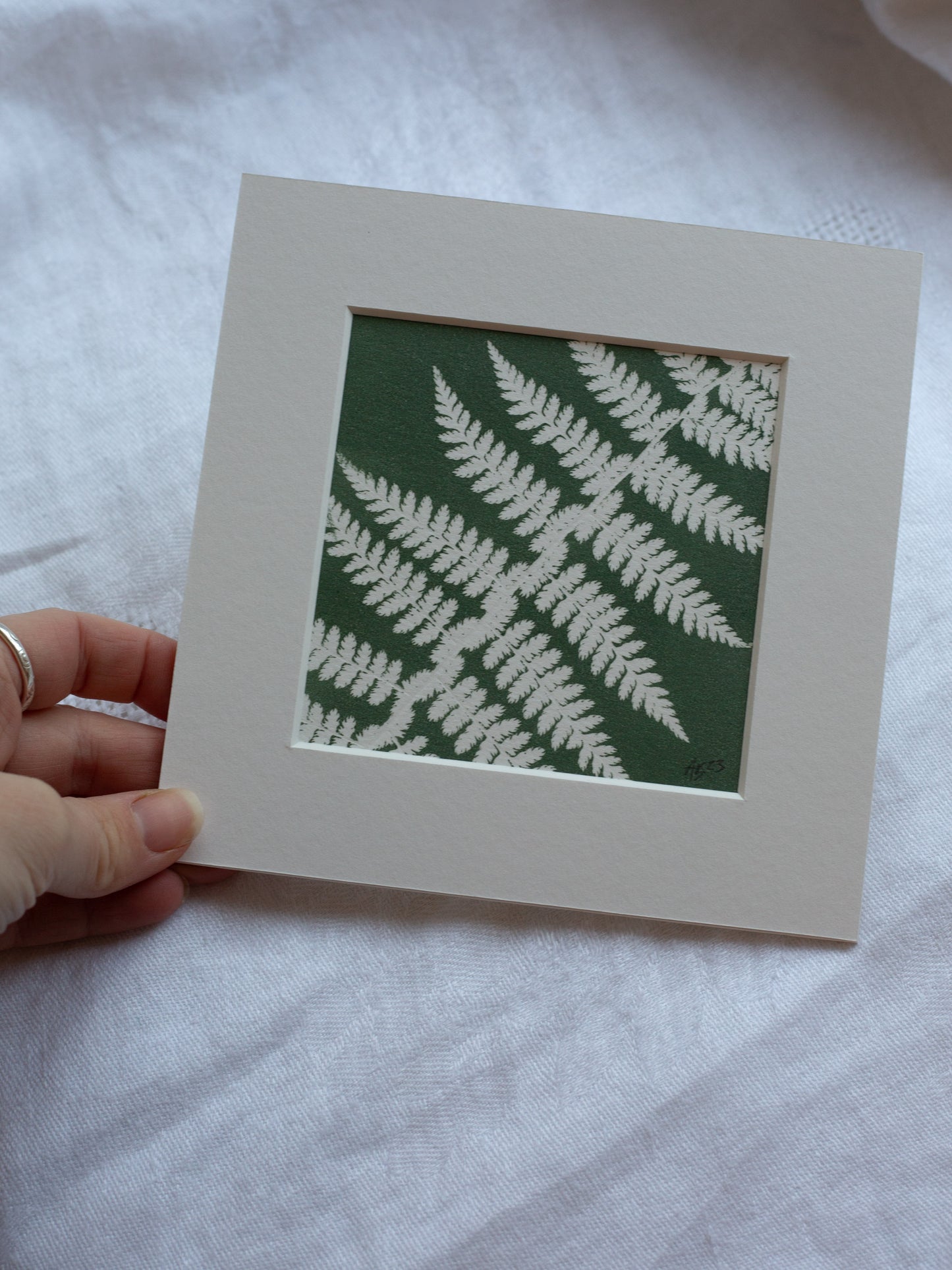 Fern 1 - Mounted Square Botanical Monoprint