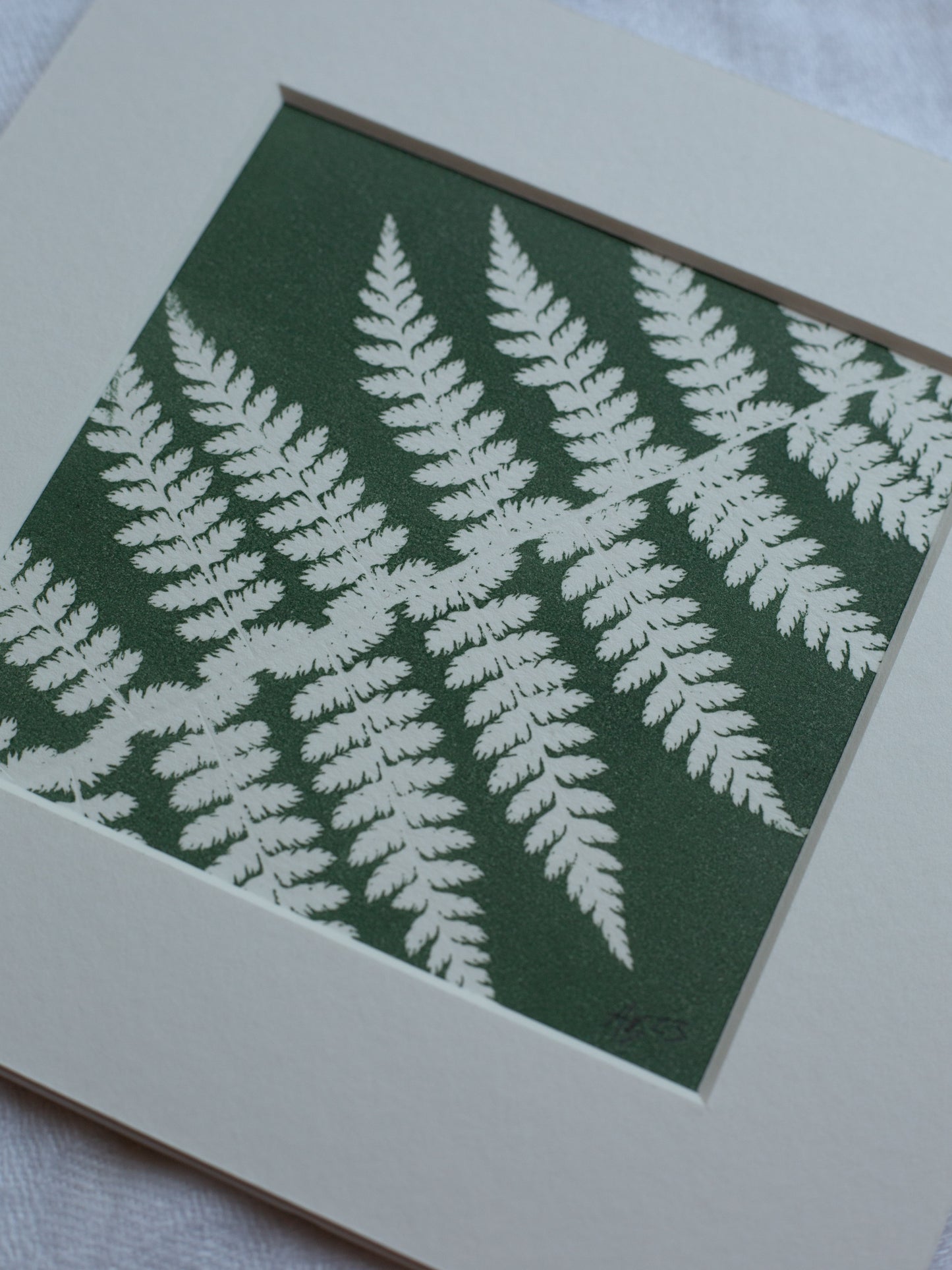 Fern 1 - Mounted Square Botanical Monoprint