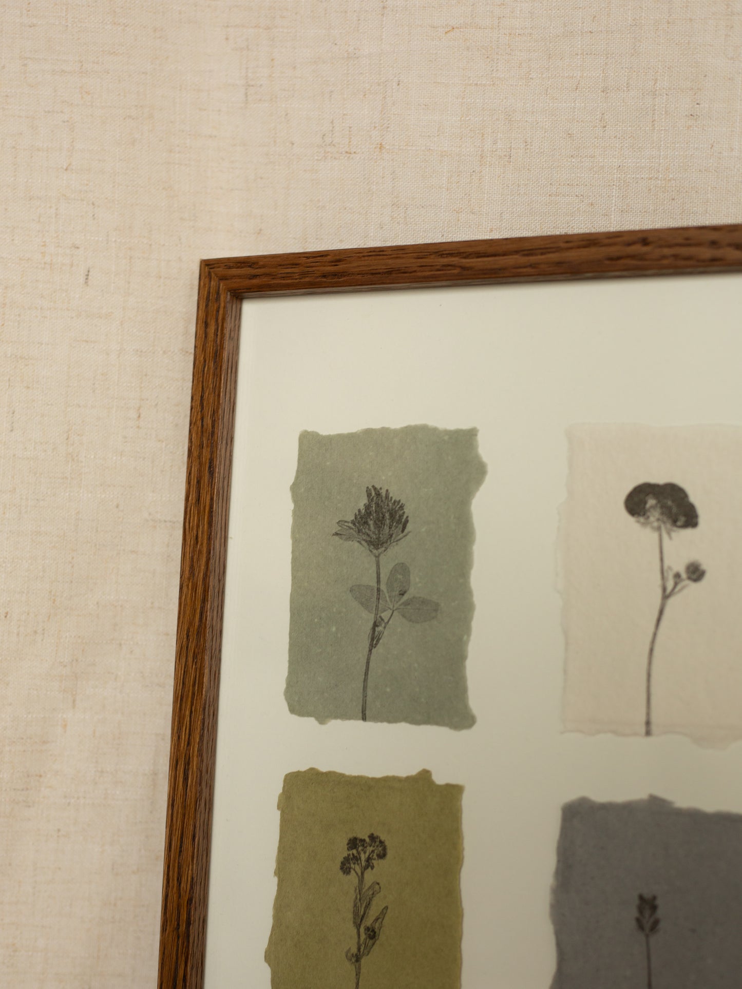 Flower Studies, Framed Monoprints
