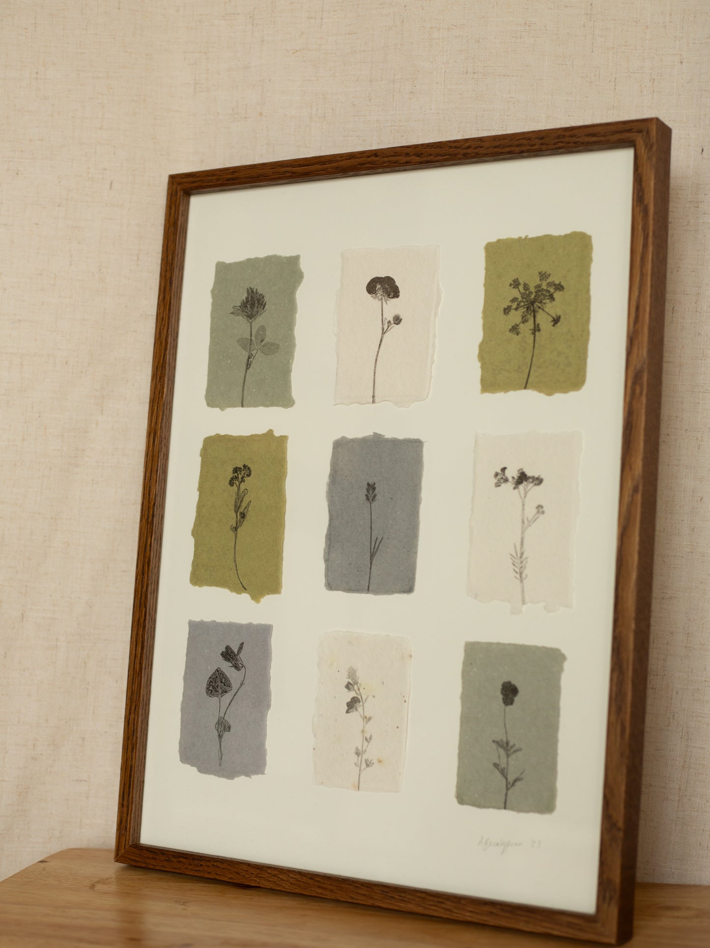 Flower Studies, Framed Monoprints