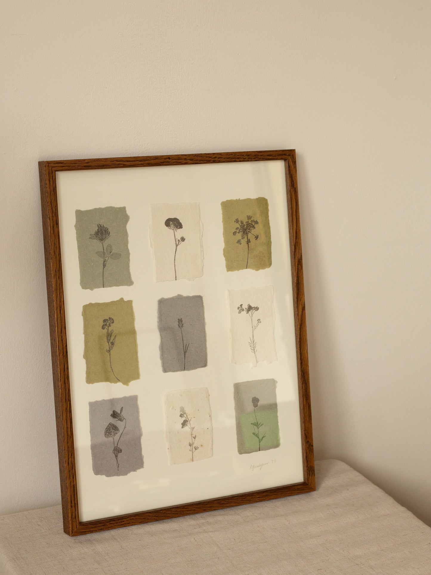 Flower Studies, Framed Monoprints