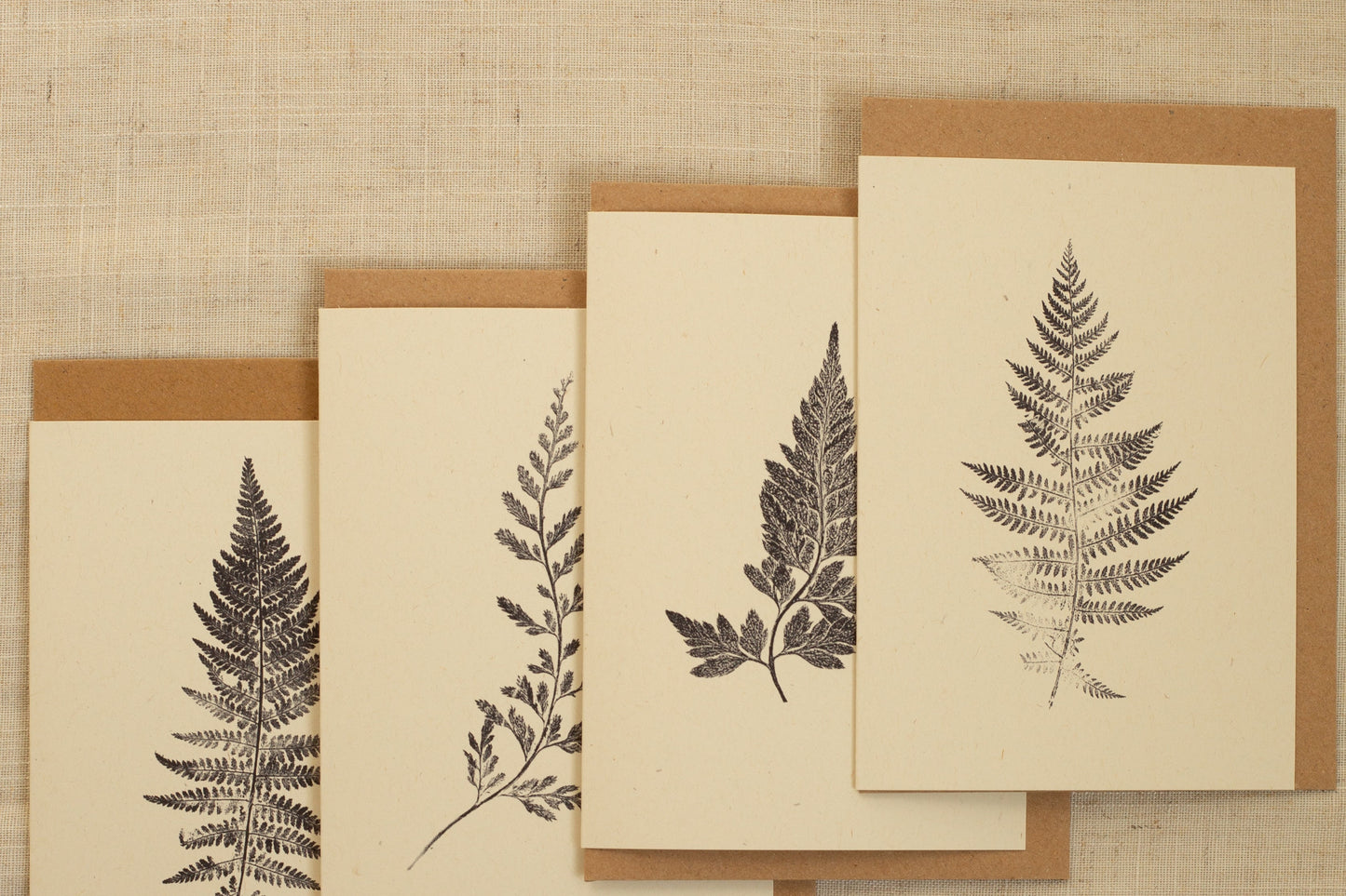 Fern Greeting Cards Pack of 4