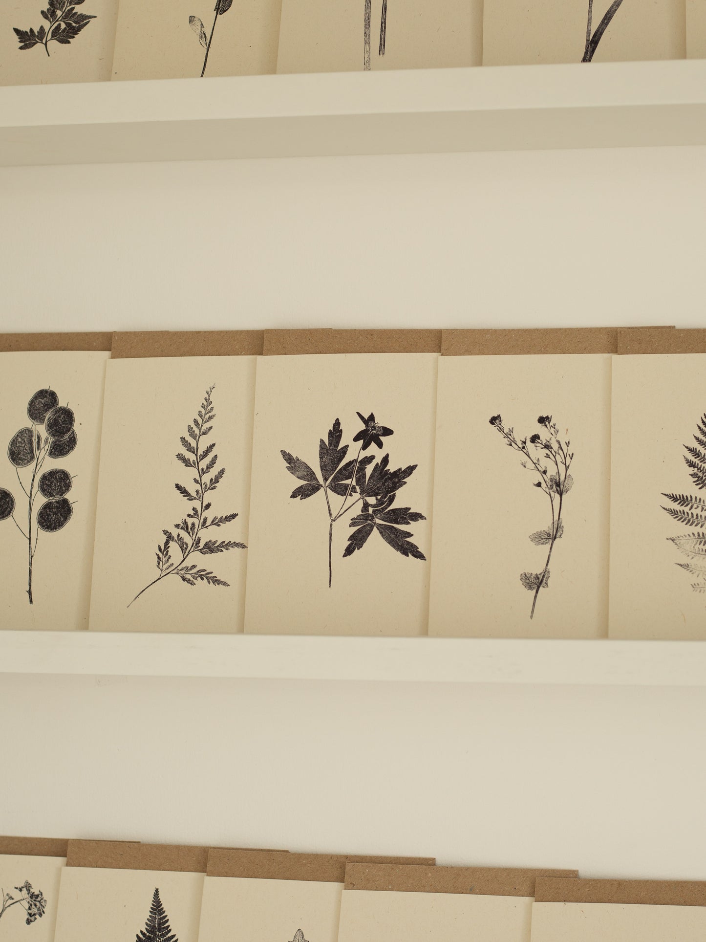 Botanical Greeting Cards