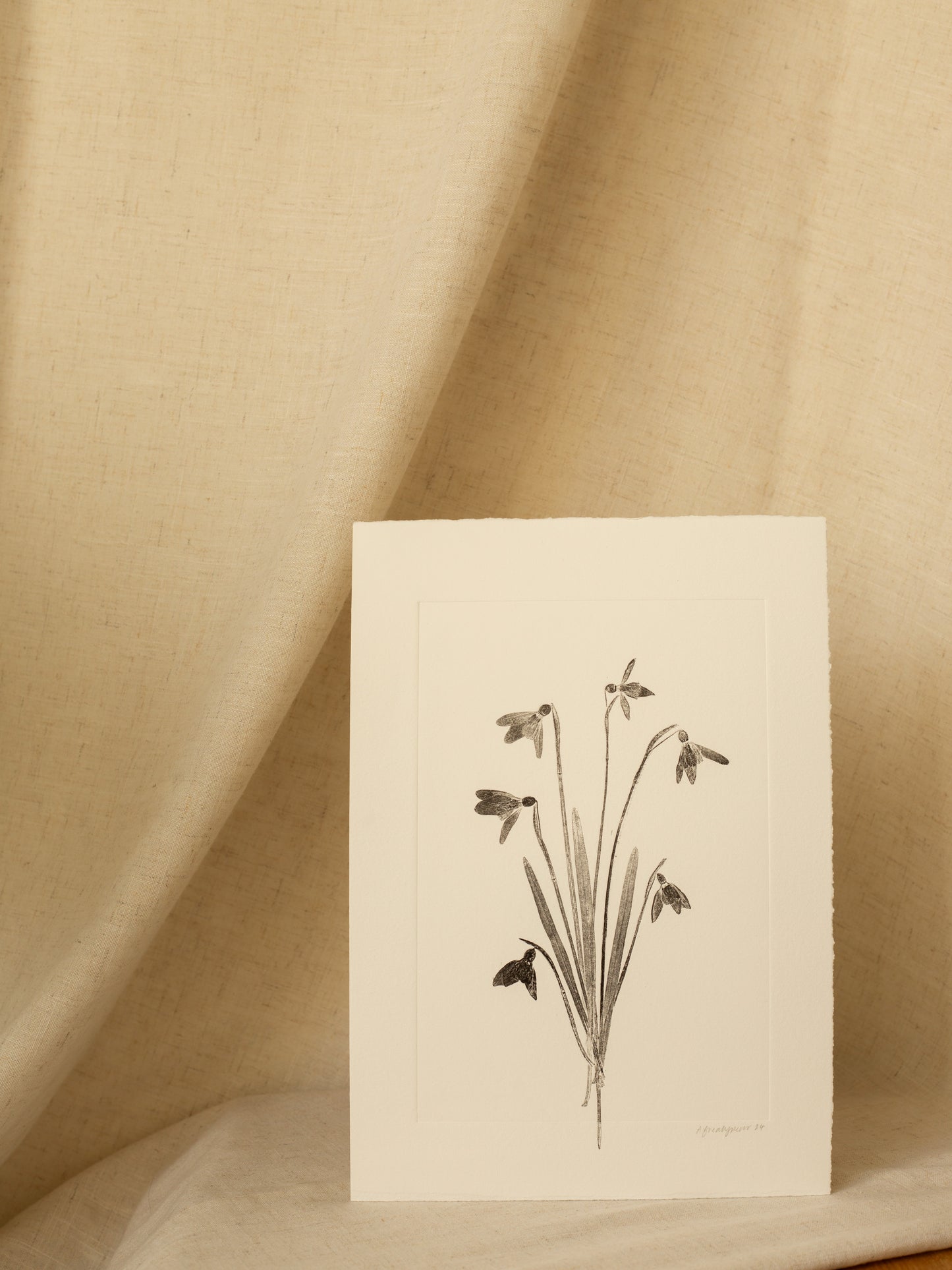 Snowdrop Bouquet 2, Botanical Monoprint