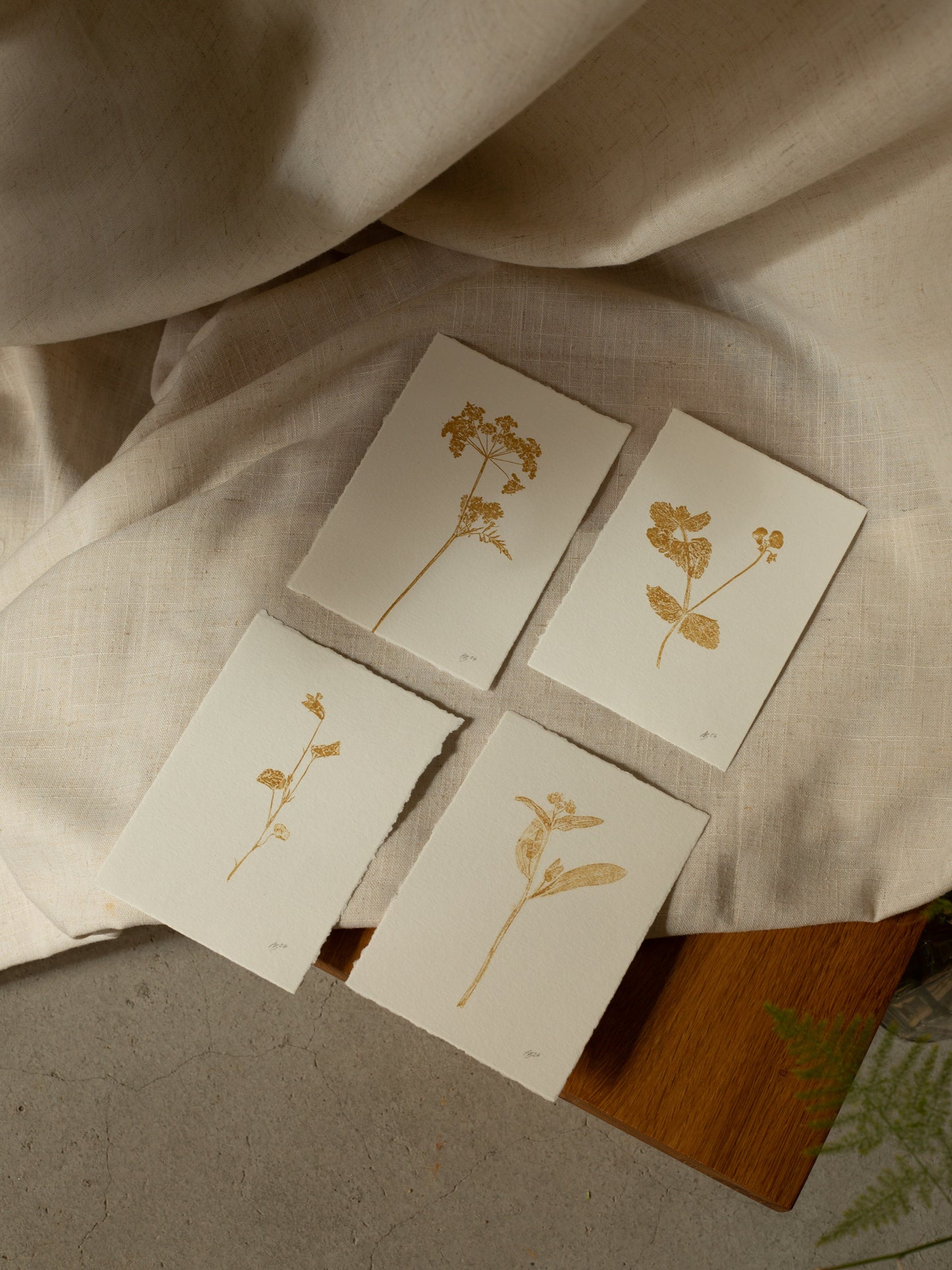 Forget-Me-Not 1, Yellow Ochre Monoprint