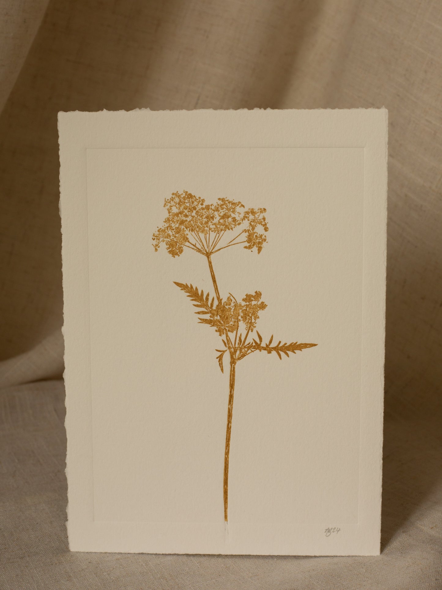 Cow Parsley 3, Yellow Ochre Monoprint