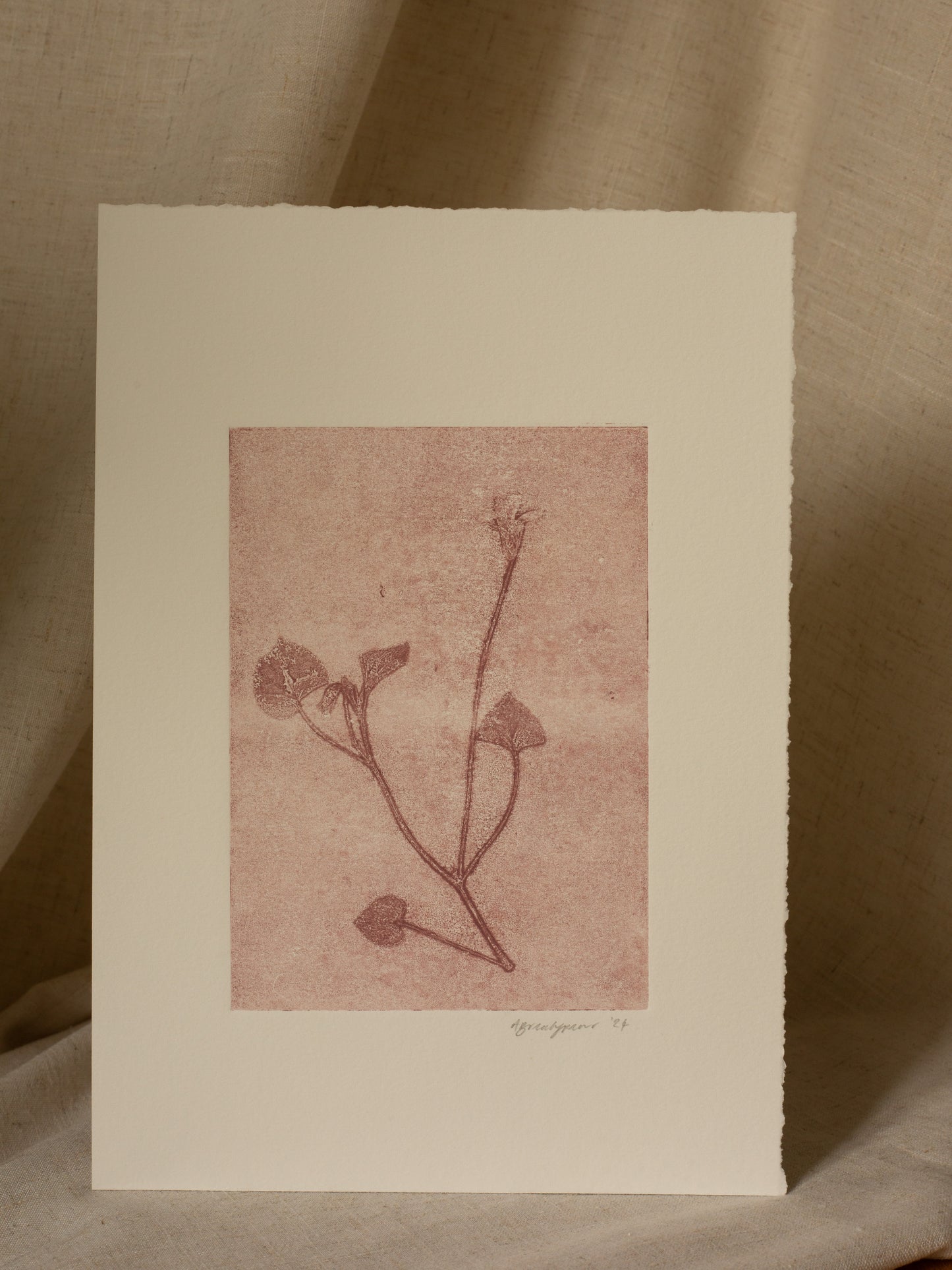 Dog-Violet 3, Mauve Ghost Monoprint