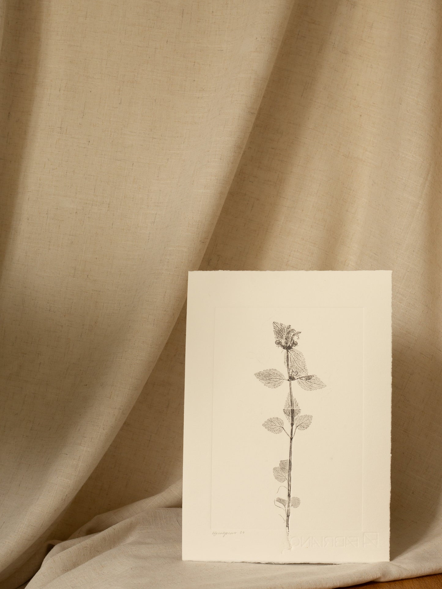 Yellow archangel 1, Dark Grey Monoprint