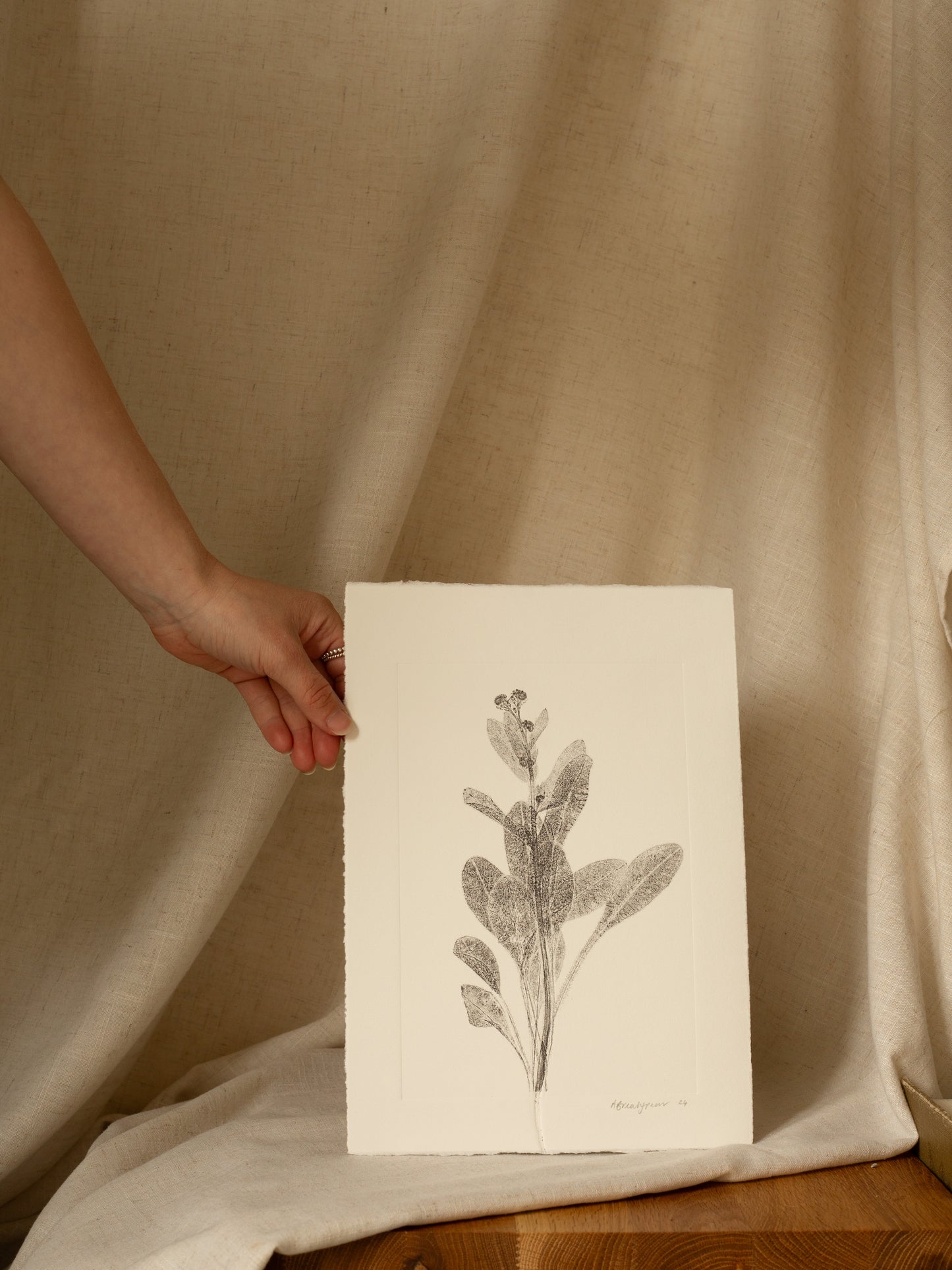 Forget-Me-Not 1, Dark Grey Monoprint