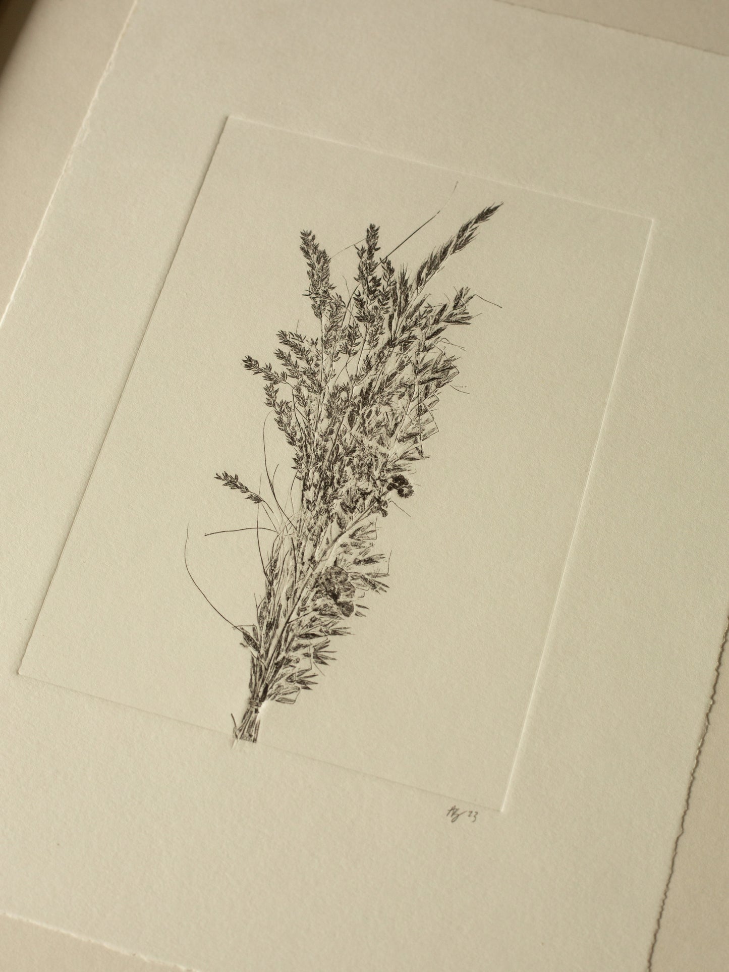 Grass Bouquet 2, Original Monoprint Framed