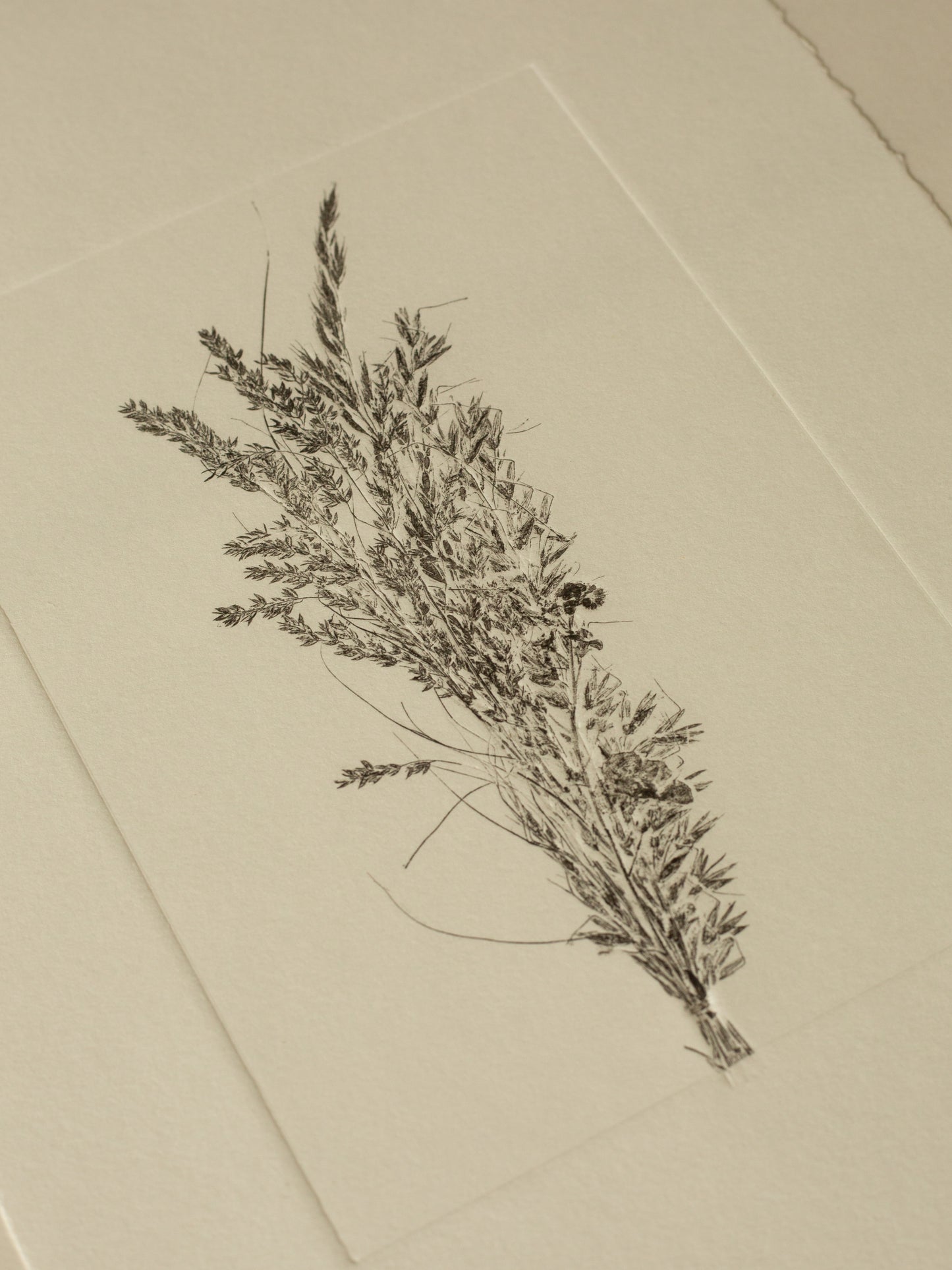 Grass Bouquet 2, Original Monoprint Framed