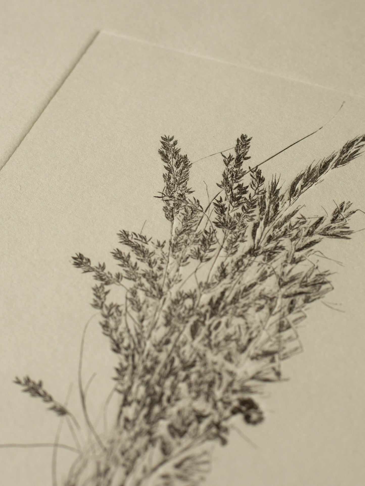 Grass Bouquet 2, Original Monoprint Framed