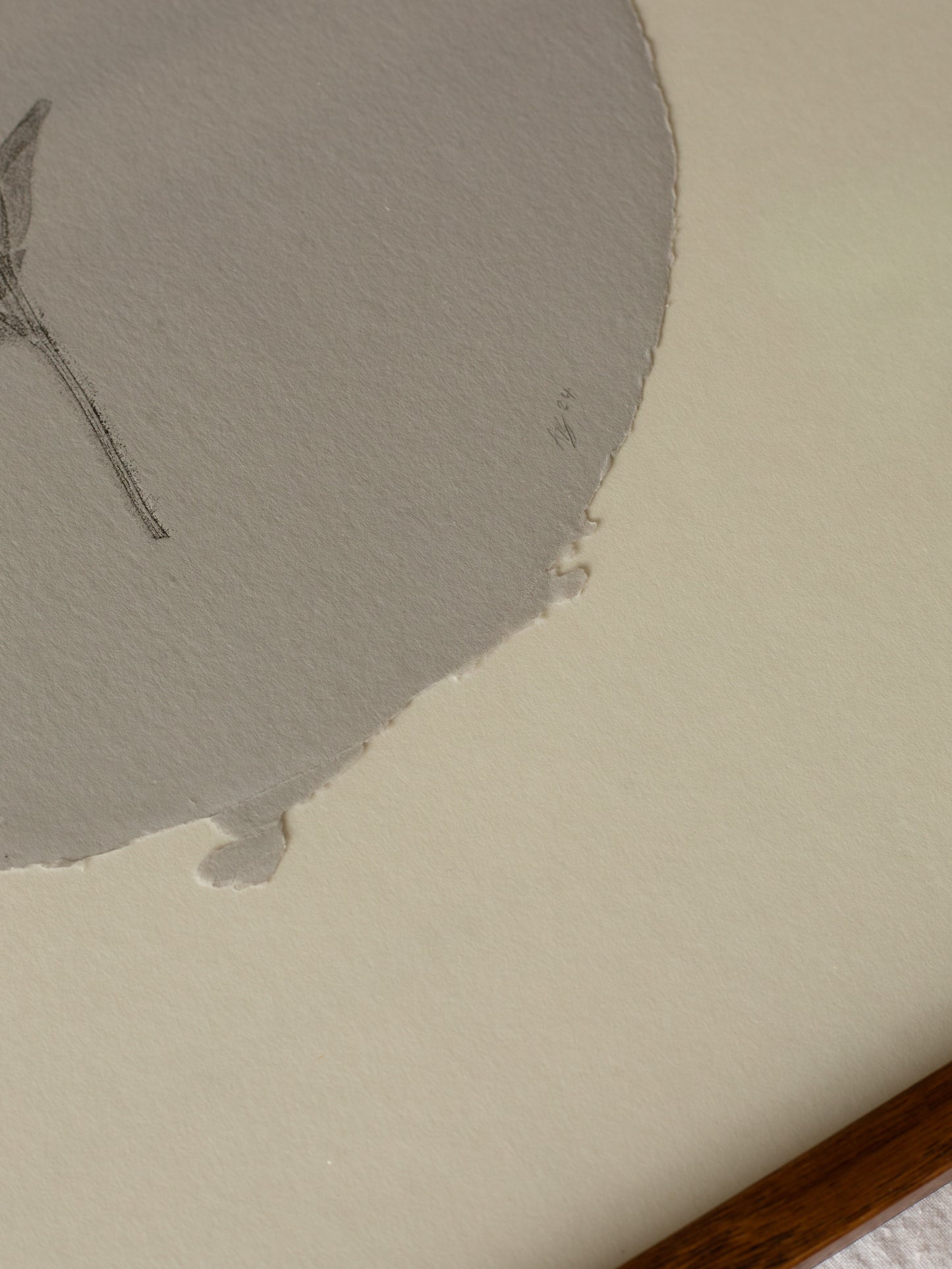 Forget-me-not circle, Botanical Monoprint Framed