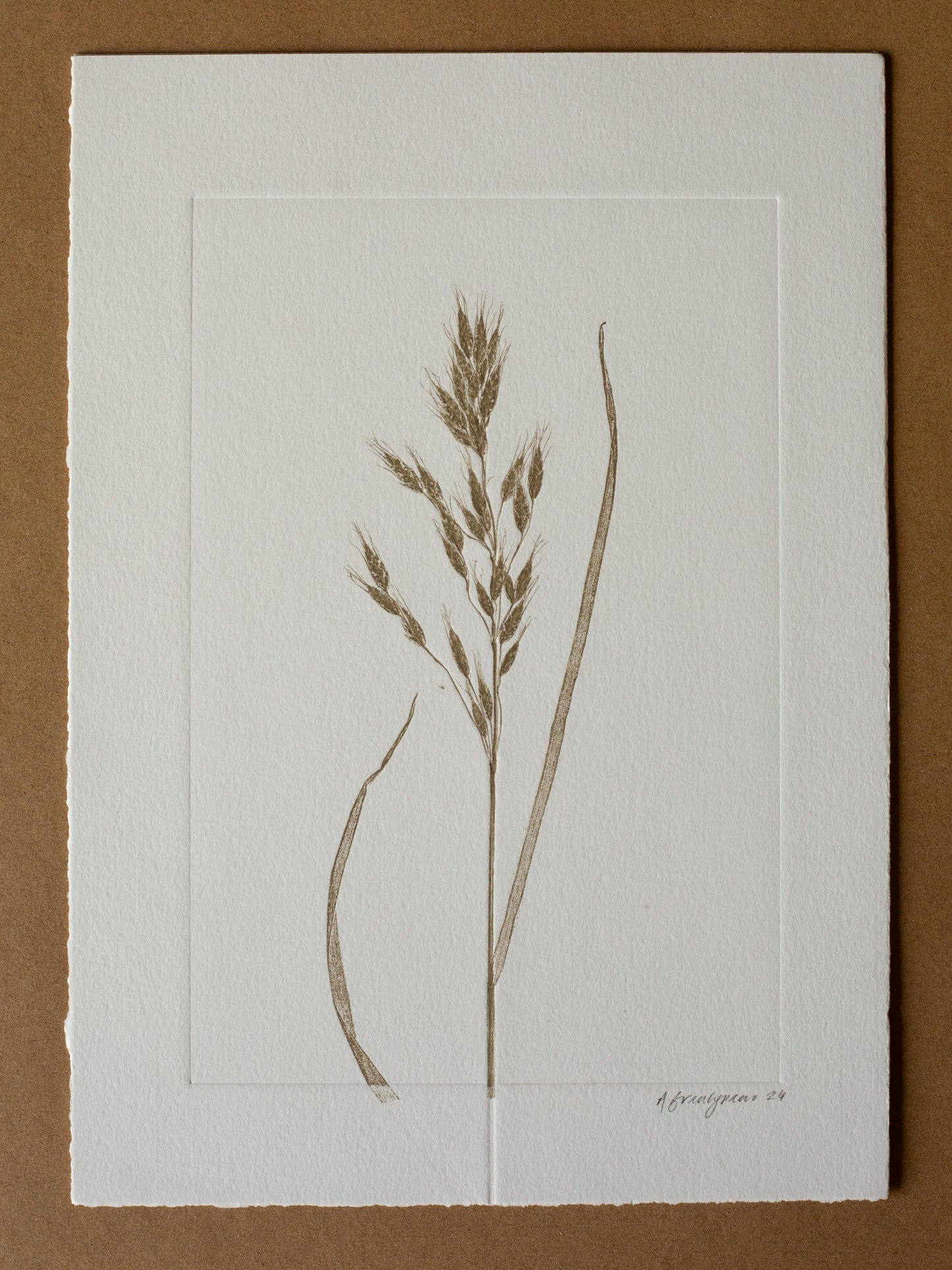 Grass 3, Monoprint, Original Botanical Print