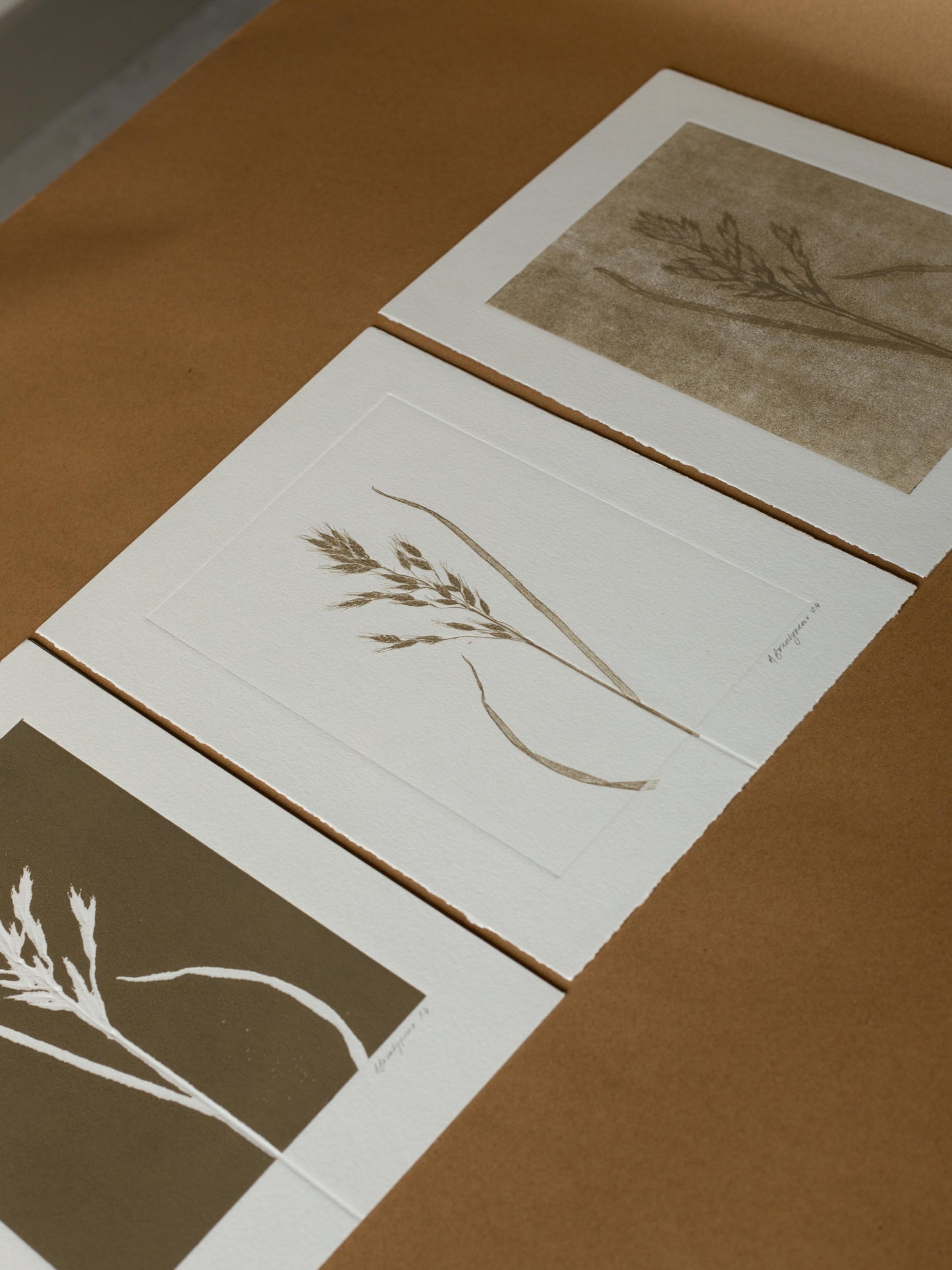 Grass 3, Monoprint, Original Botanical Print