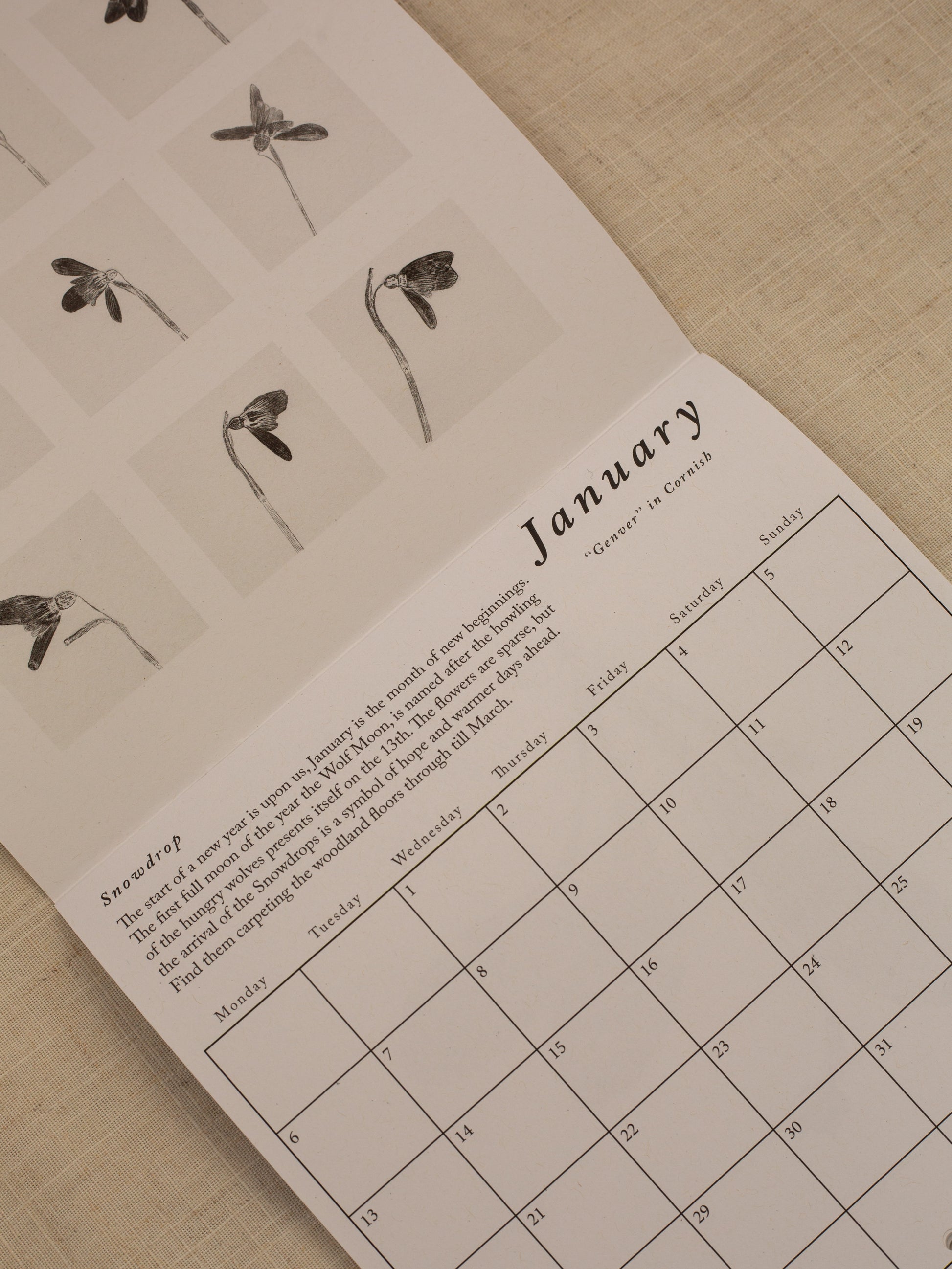 January page of the 2025 calendar, featuring the plant snowdrops. Caption and box and dates.