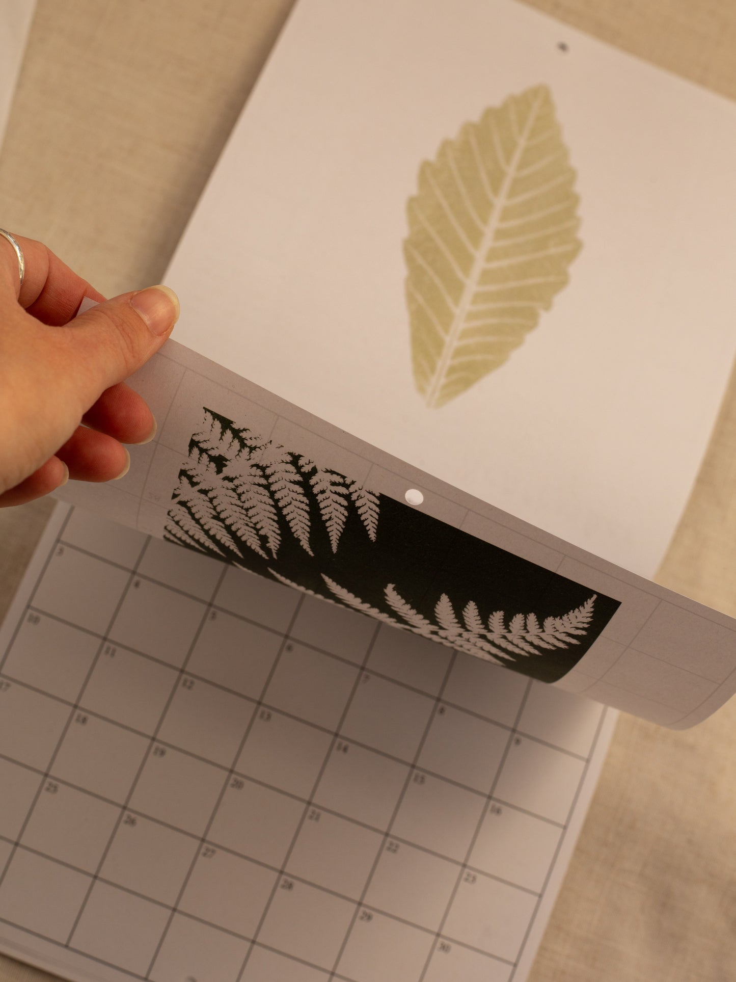 Flicking through the months of the botanical calendar