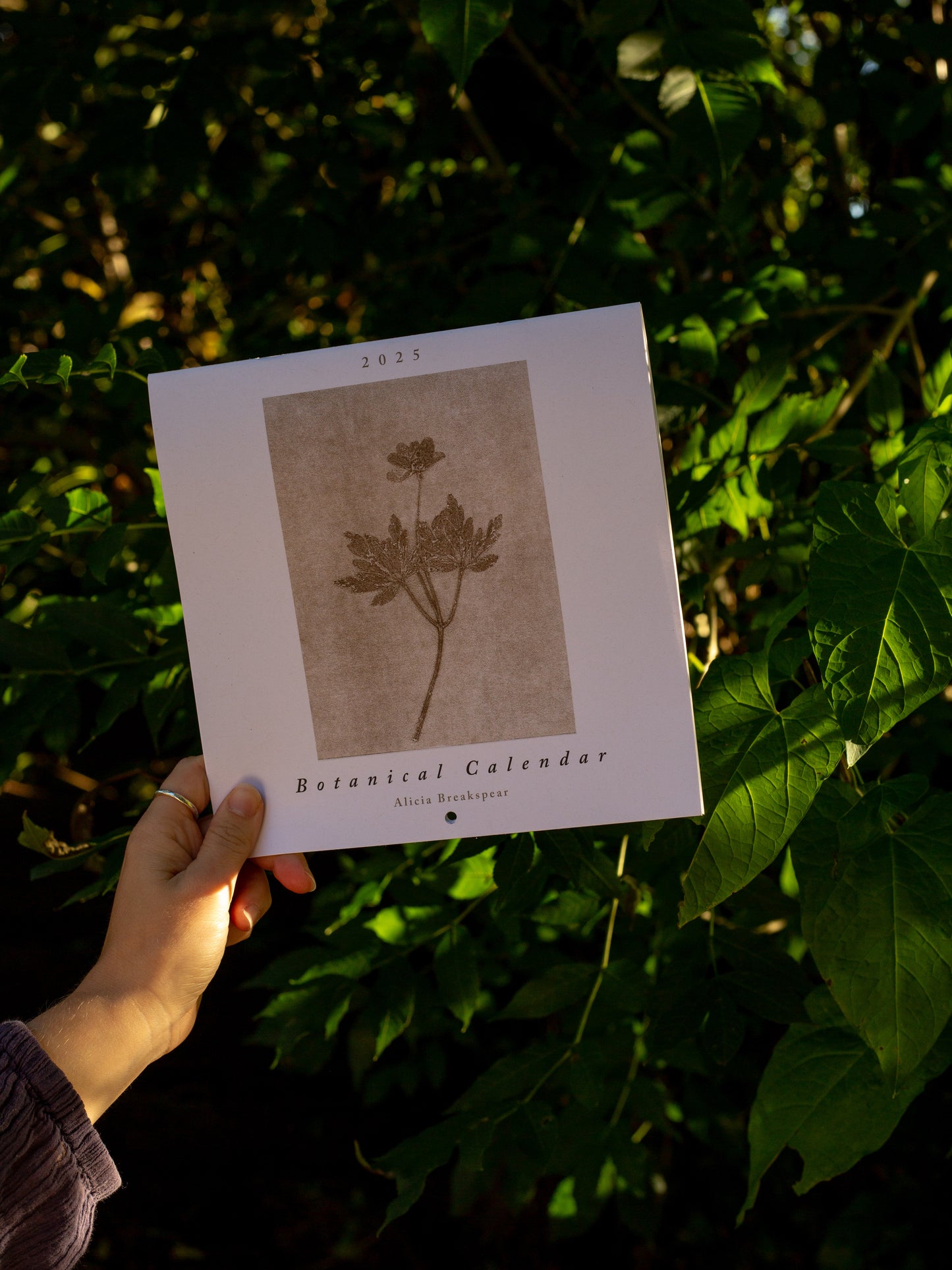 2025 Calendar in the sun being held up by Alicia