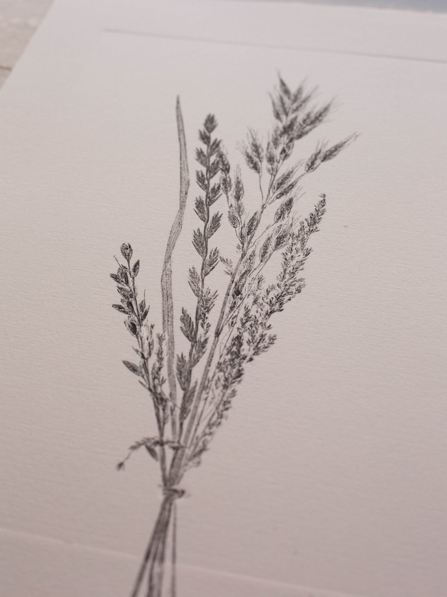 Grass Bunch 2 - Monoprint - A4 1/1