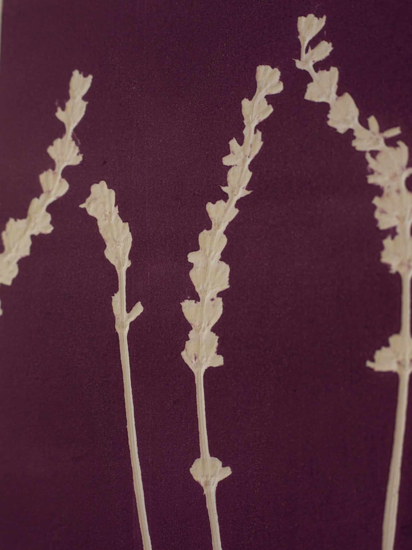 Lavender 1 - Monoprint - A4 1/1