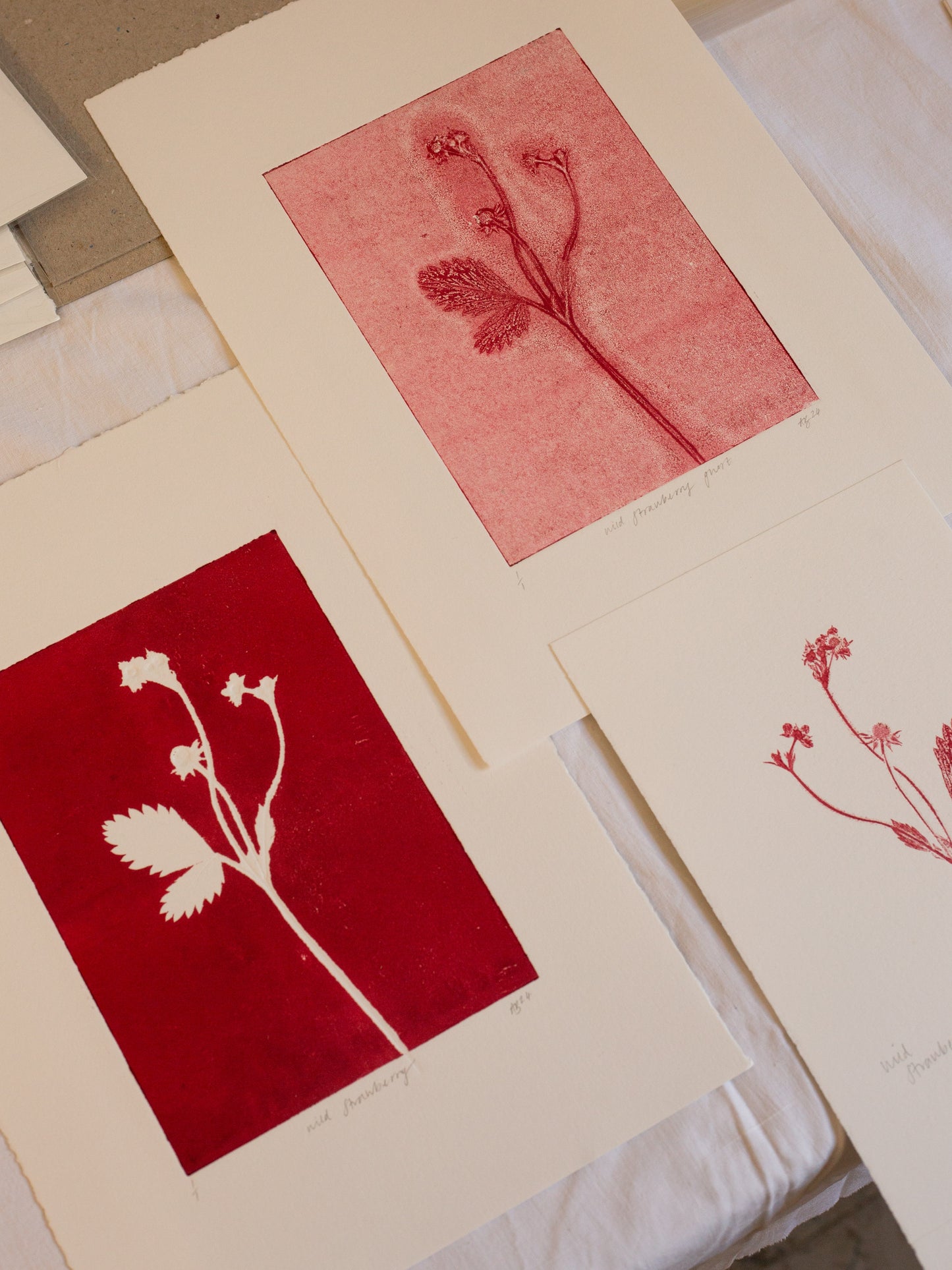 Wild Strawberry 2 - Monoprint - A4 1/1