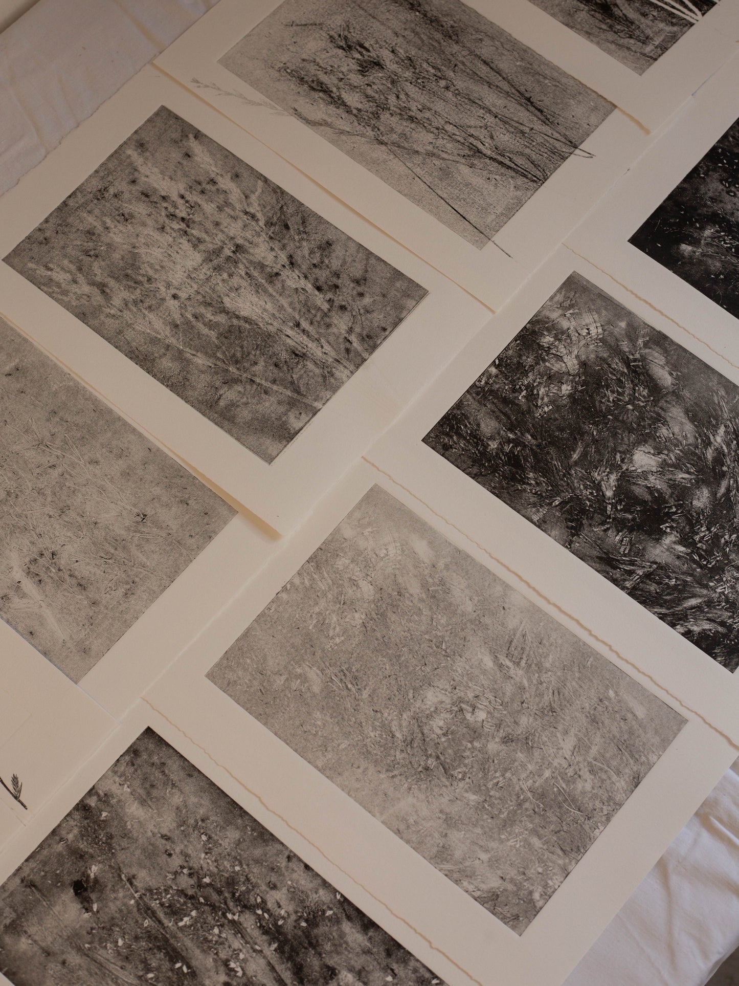 Grass In Motion - Monoprint - A4 1/1