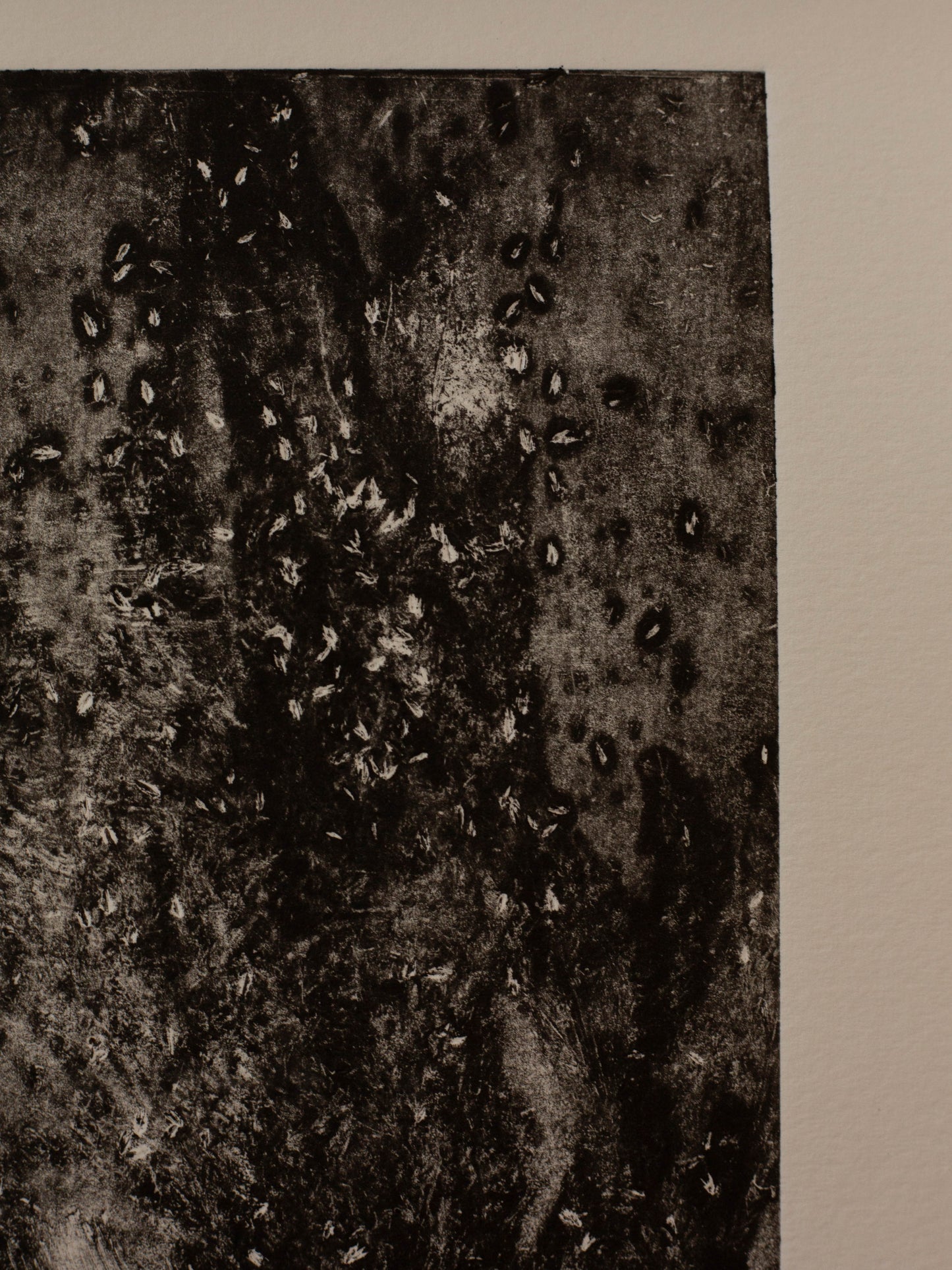 In The Darkness, Seeds Fall - Monoprint - A4 1/1