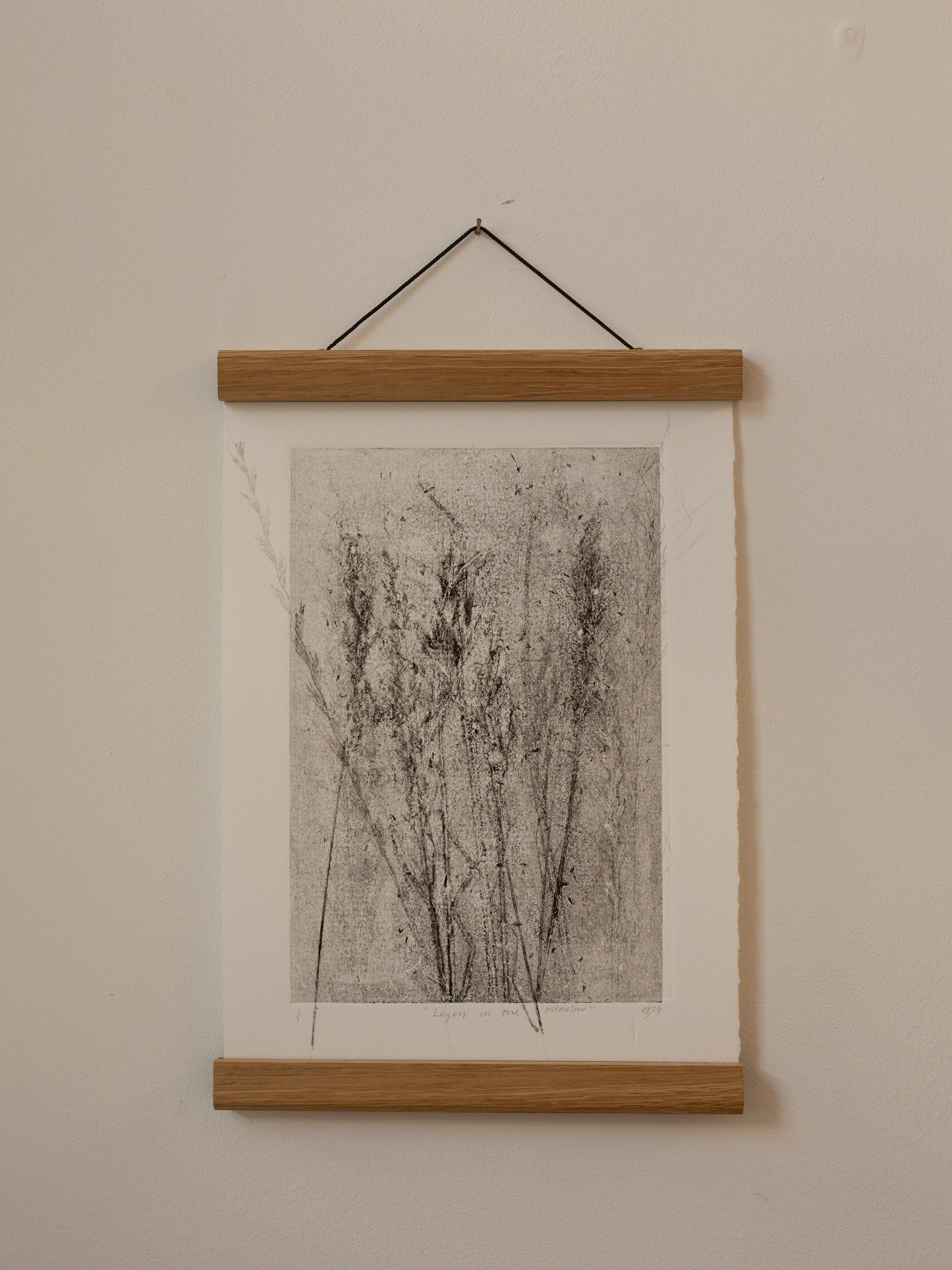 Layers In The Meadow - Monoprint - A4 1/1