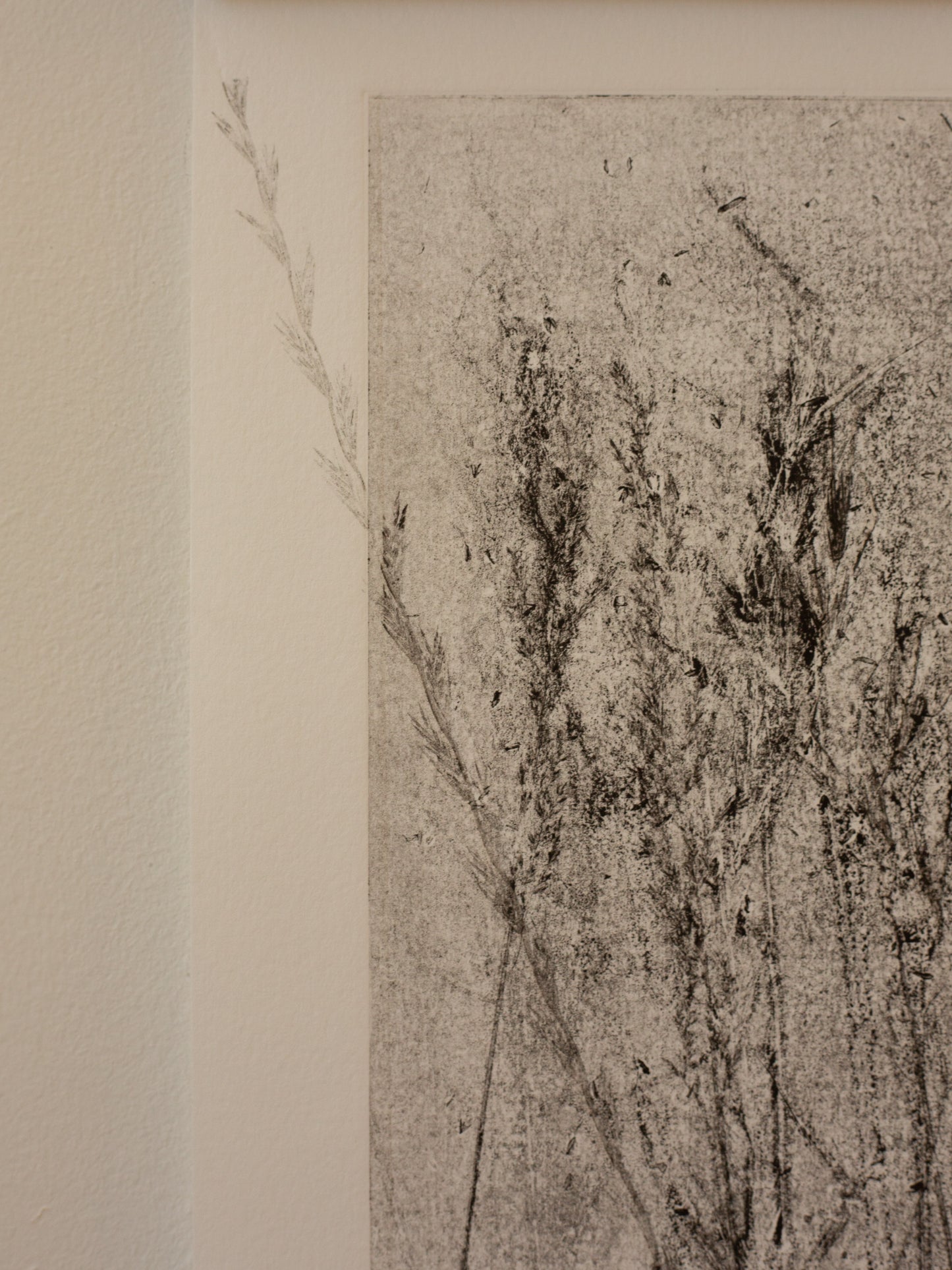 Layers In The Meadow - Monoprint - A4 1/1