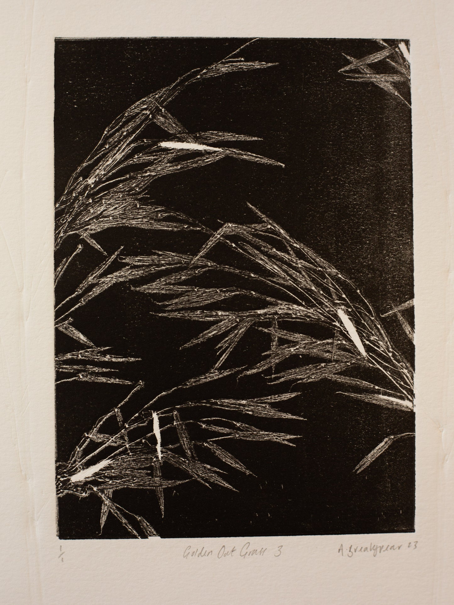 Golden Oat Grass 3 - Monoprint - A4 1/1