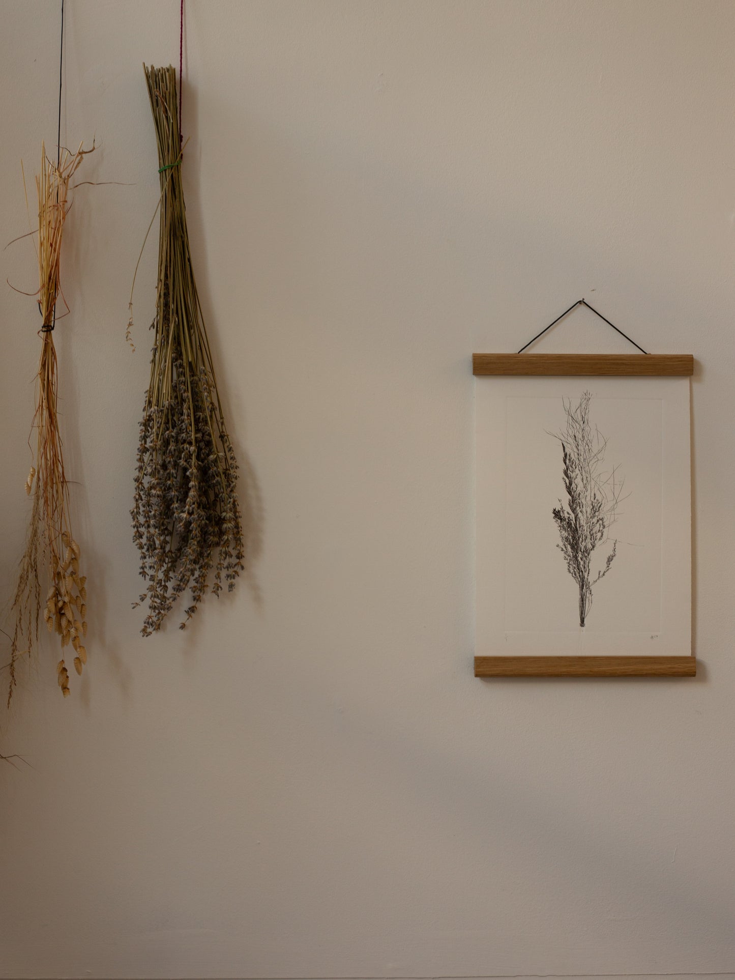 Grass Bunch 4 - Monoprint - A4 1/1