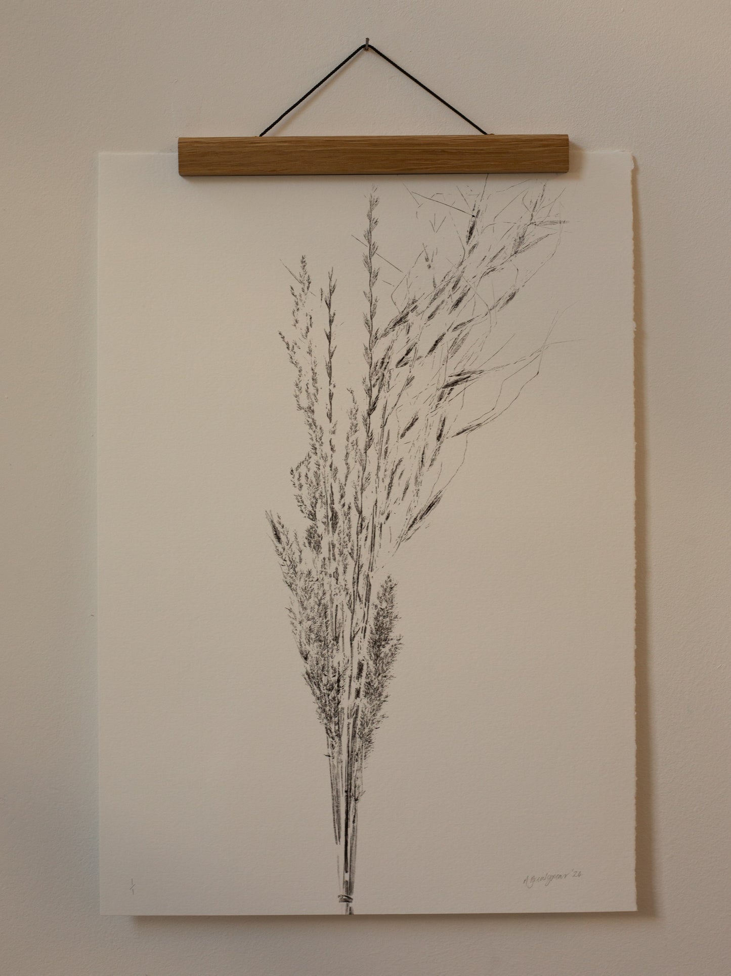 Grass Bunch 6 - Monoprint - A3 1/1