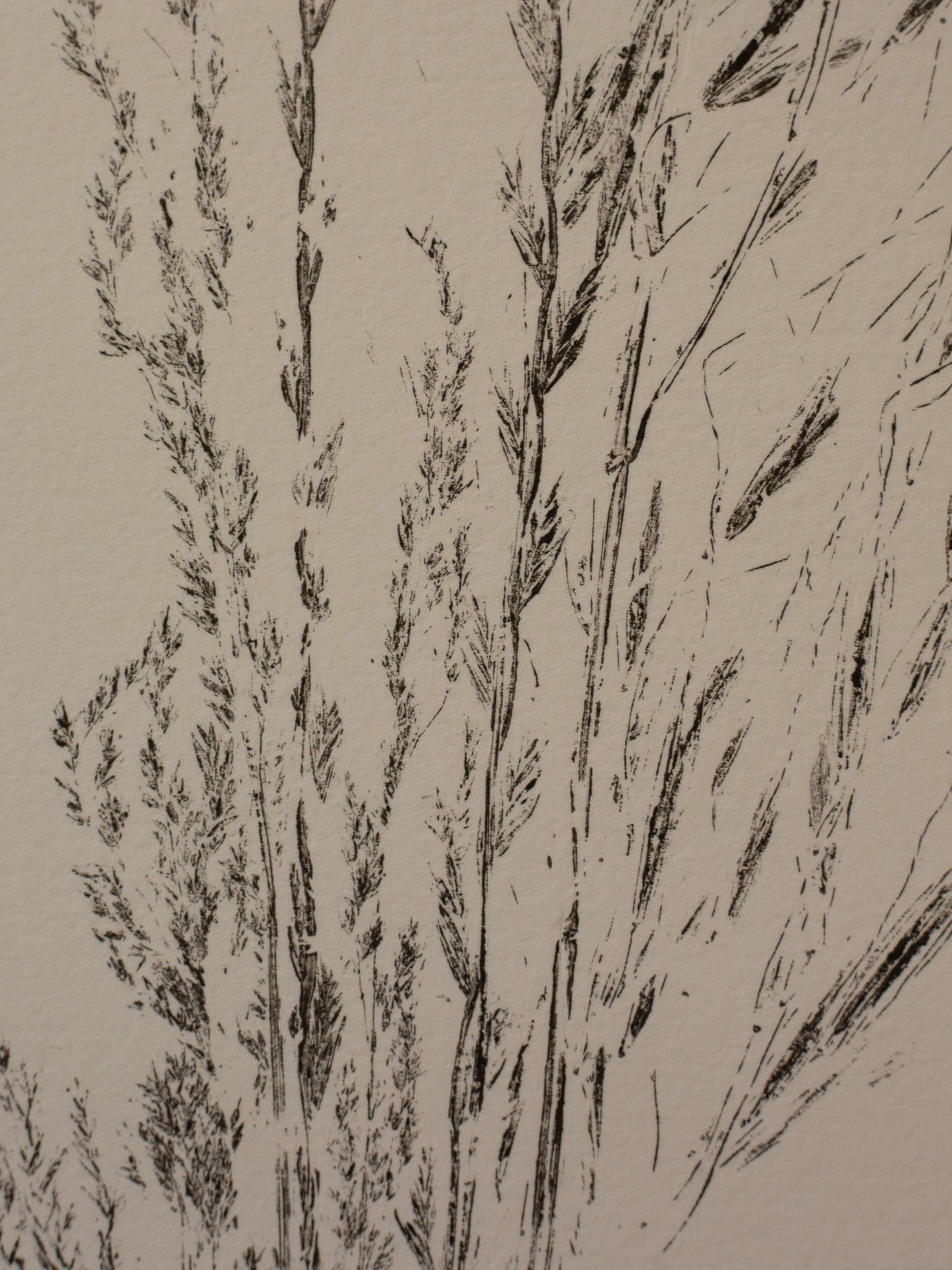 Grass Bunch 6 - Monoprint - A3 1/1