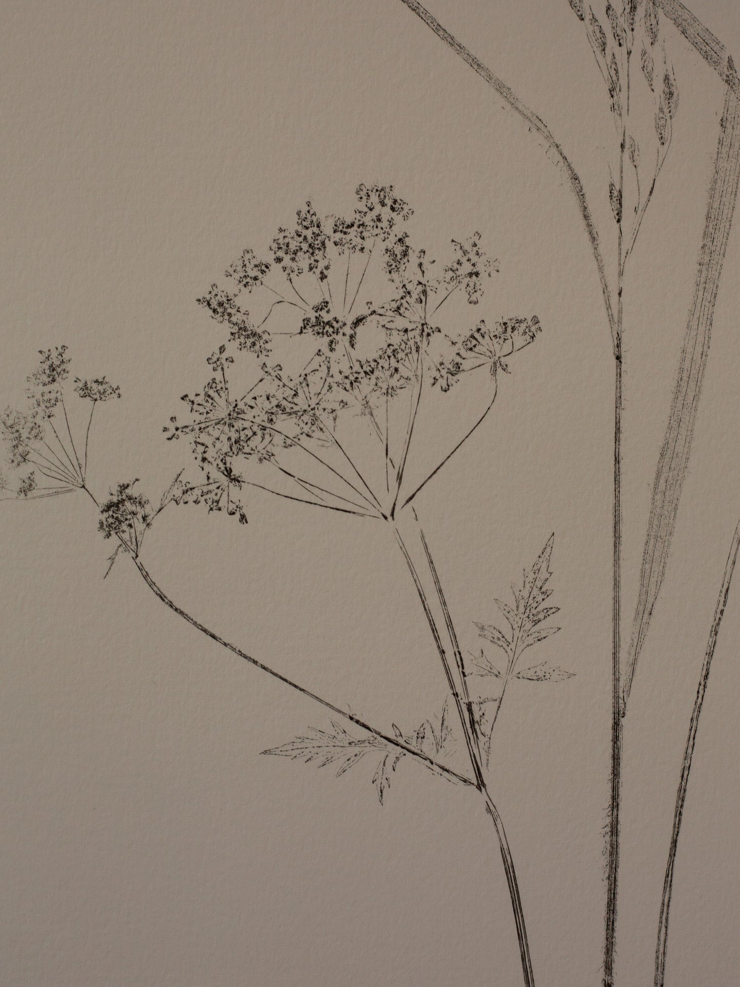 Spring Foliage - Monoprint - A4 1/1