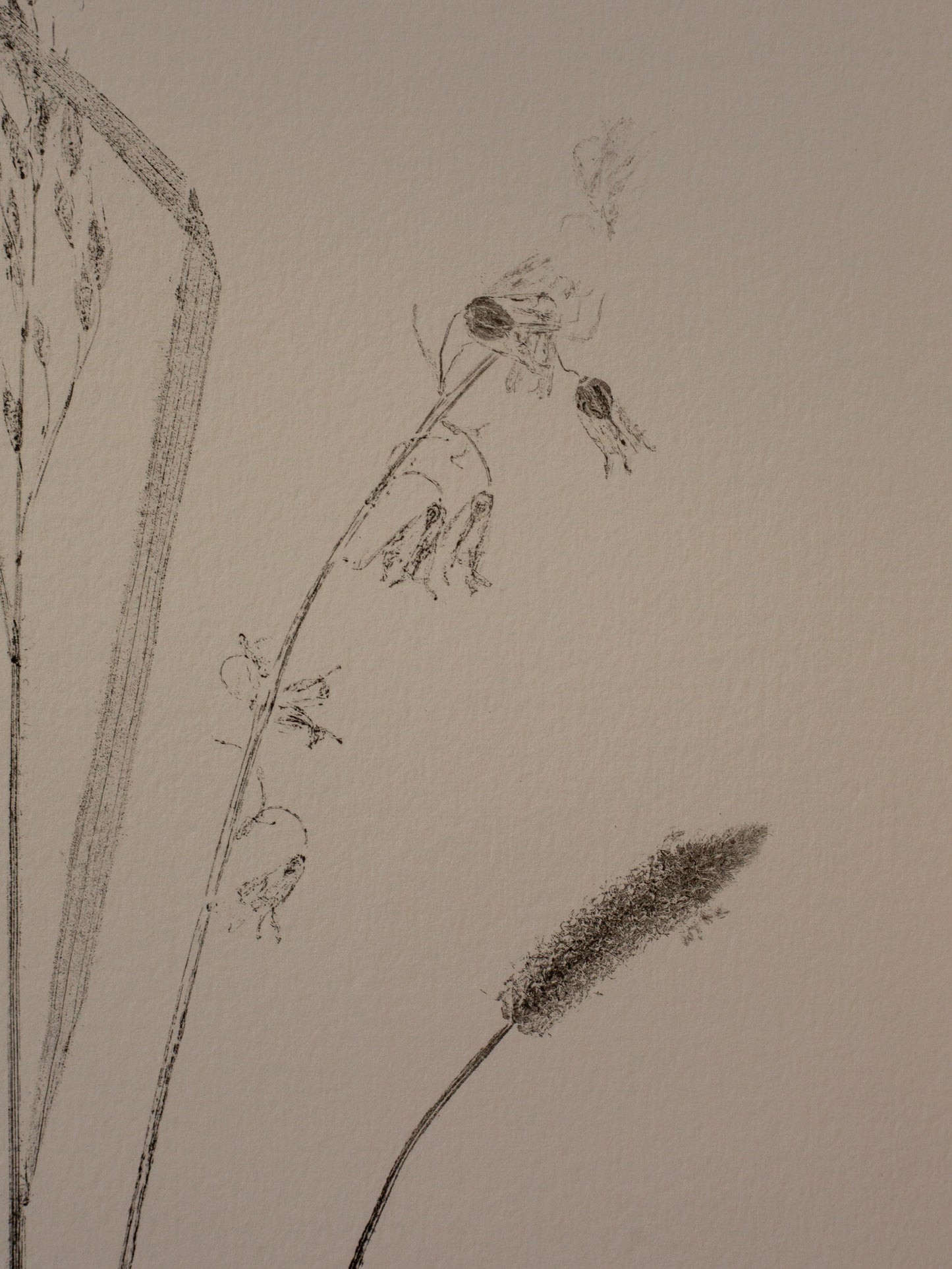 Spring Foliage - Monoprint - A4 1/1