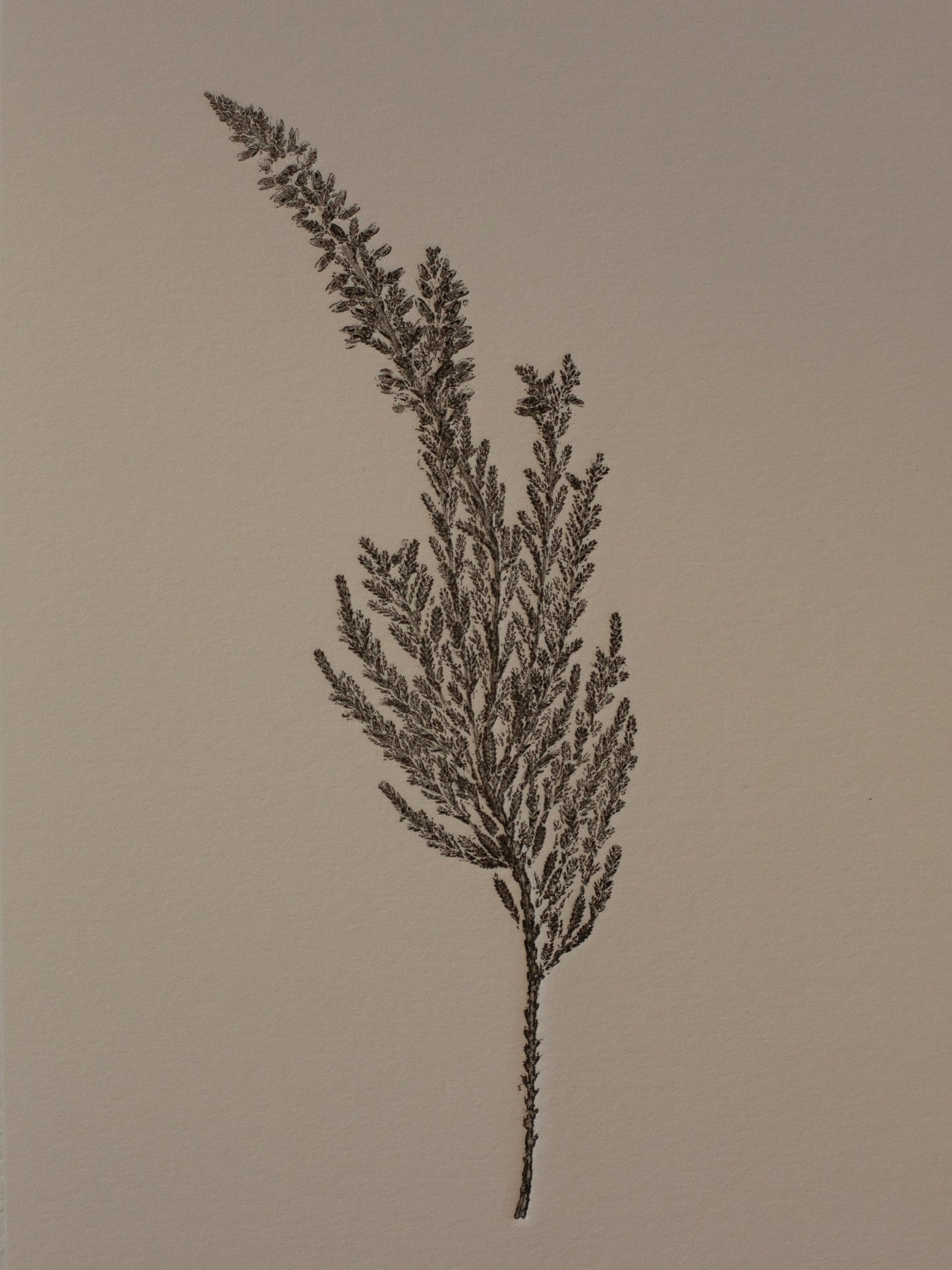 Heather - Monoprint - 1/1