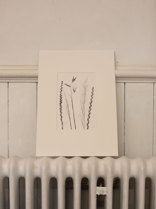 The Long Grasses Grow - Monoprint  1/1