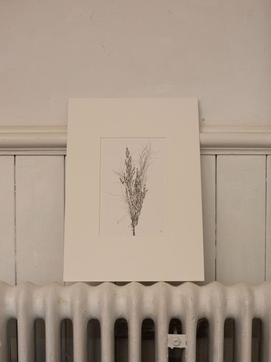 Grass Bunch 1 - Monoprint  1/1