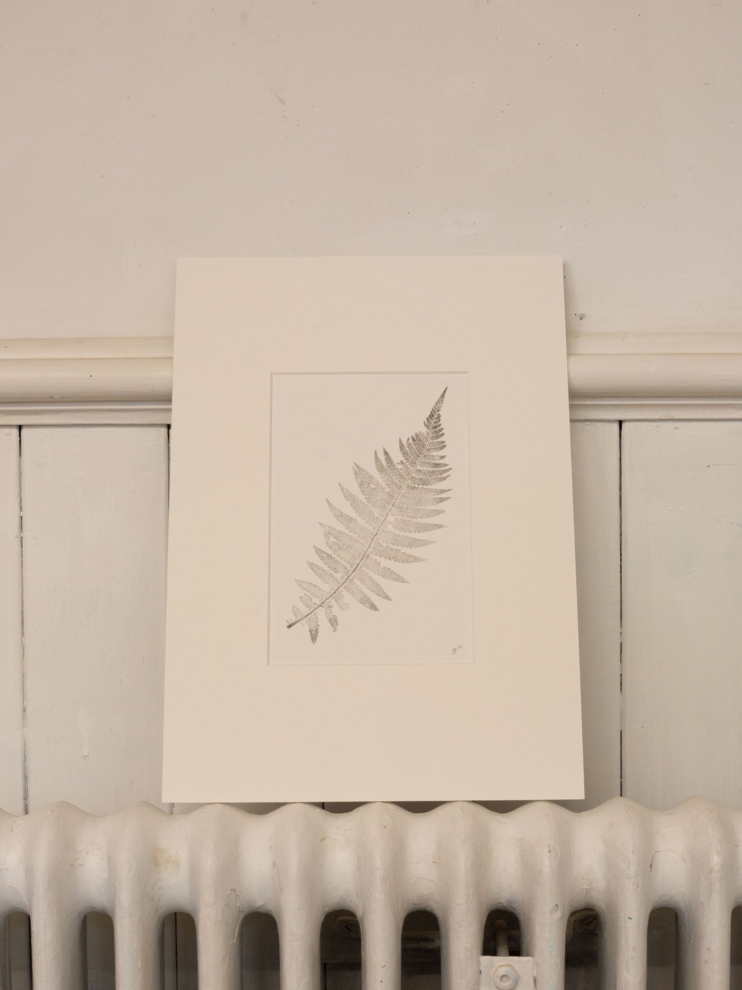 Fern 2, Botanical Monoprint 1/1