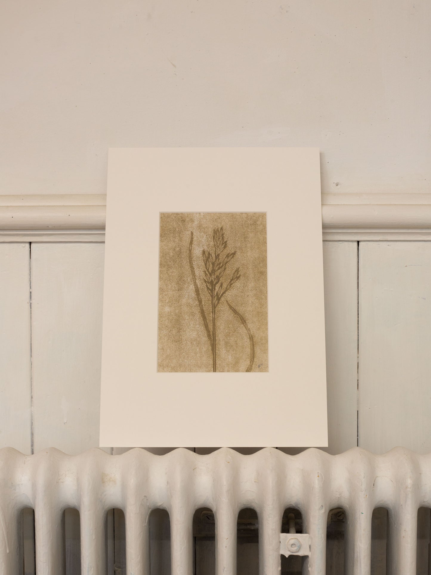 Grass 2, Ghost Monoprint, Original Botanical Print