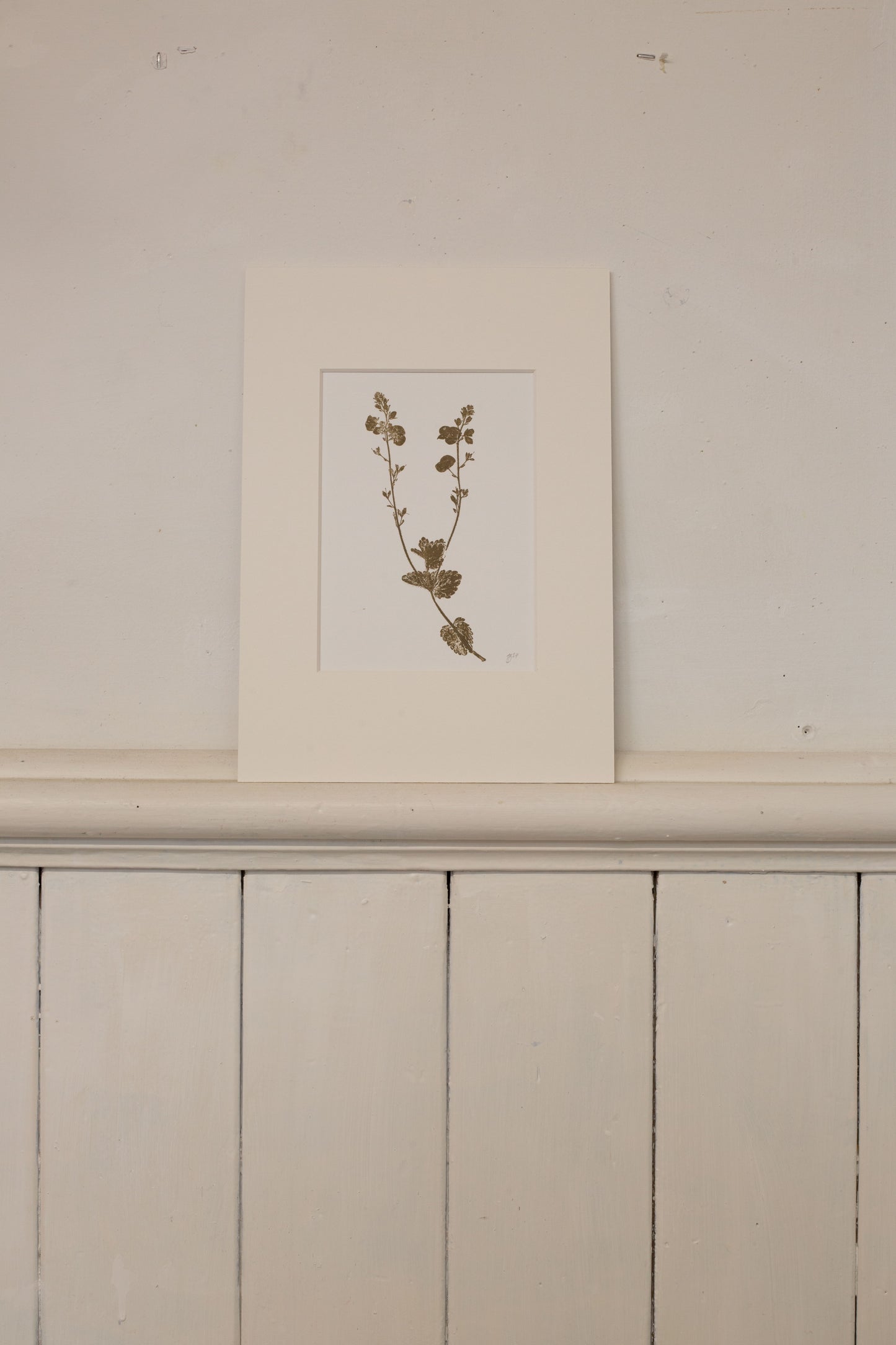 Speedwell 2, Monoprint, Original Botanical Print