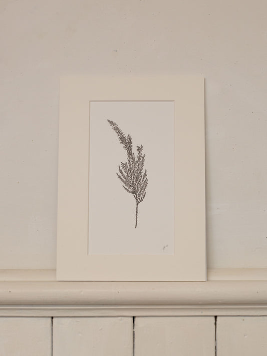 Heather - Monoprint - 1/1